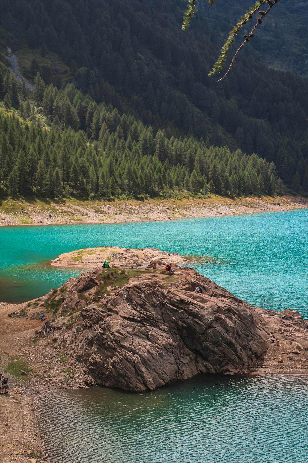 a rock in the water