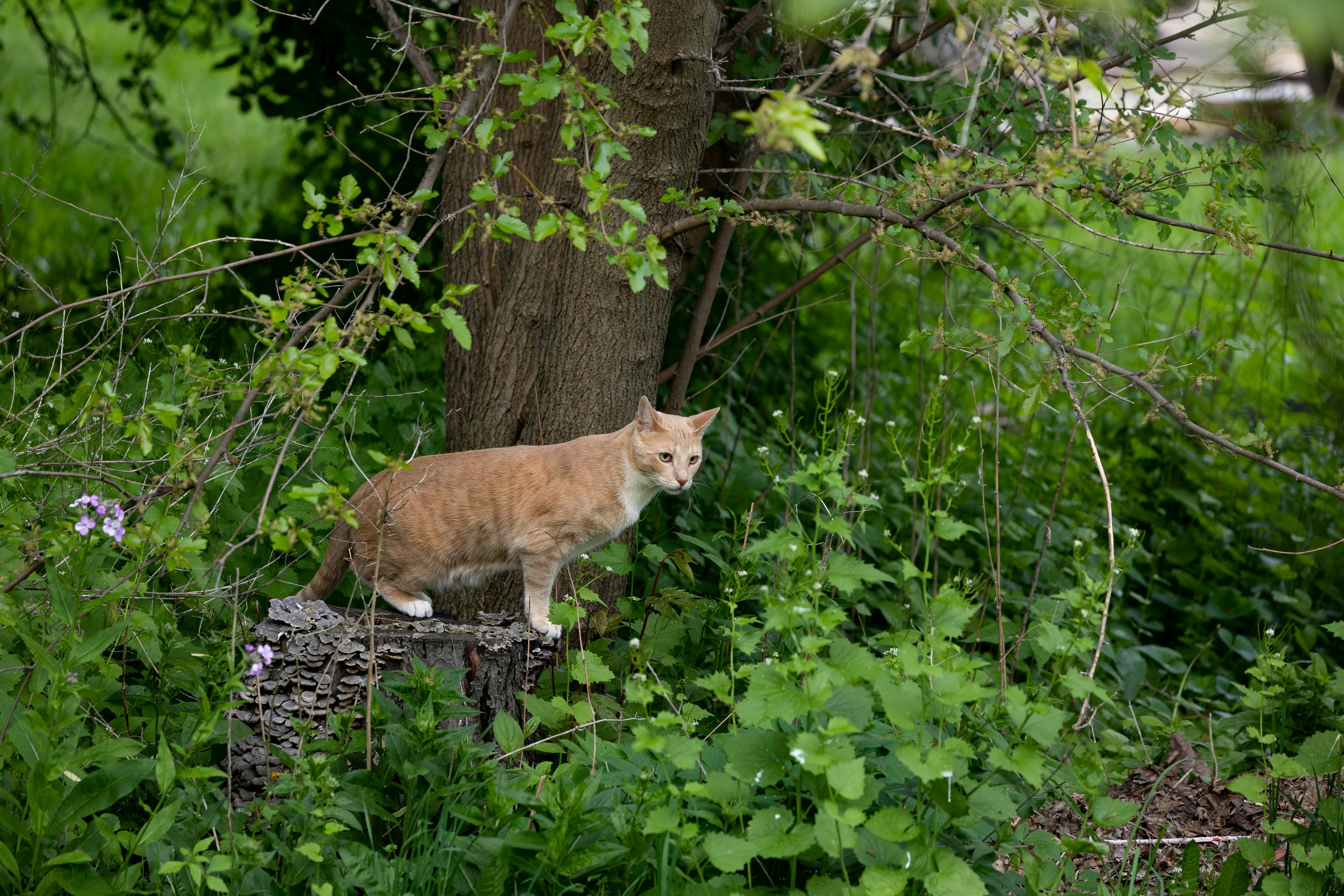 Photo by lukewarmsmore