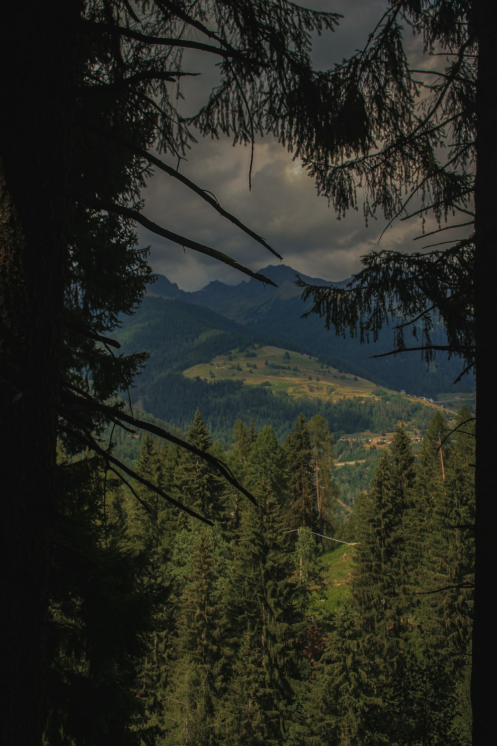 a view of a mountain range from a forest