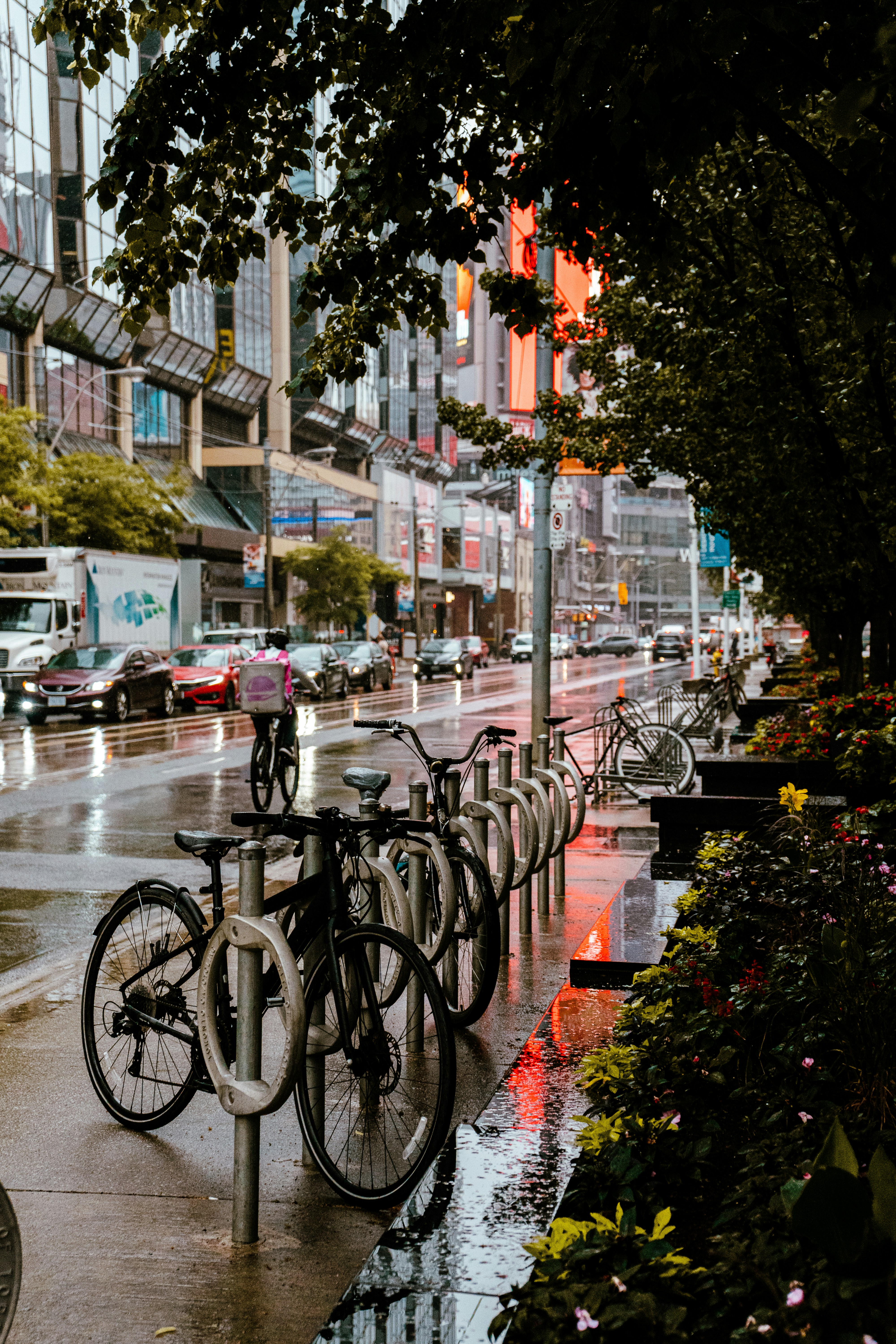 Photo by maxim_klimashin