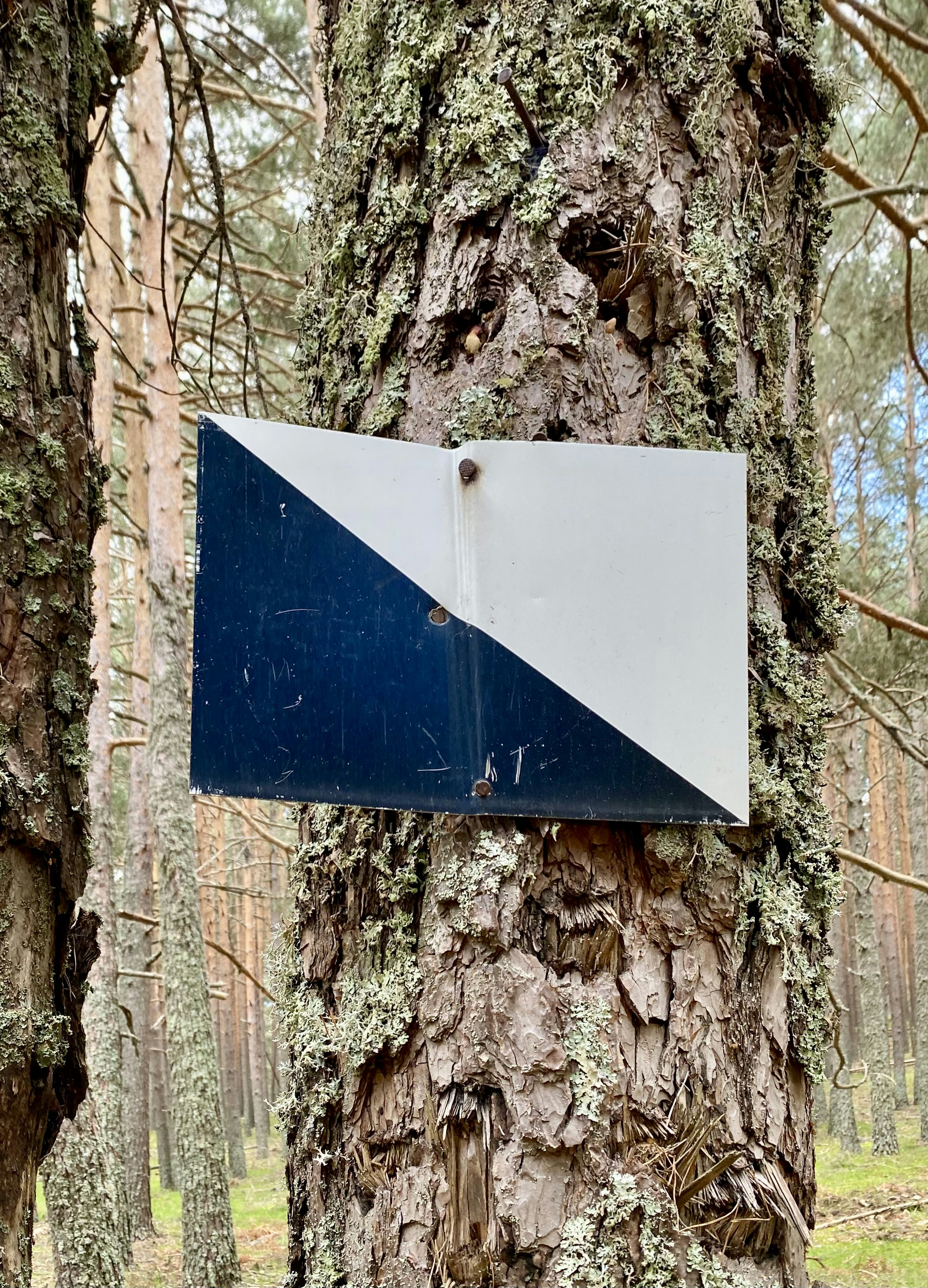 A sign on a tree photo – Free Rascafría Image on Unsplash