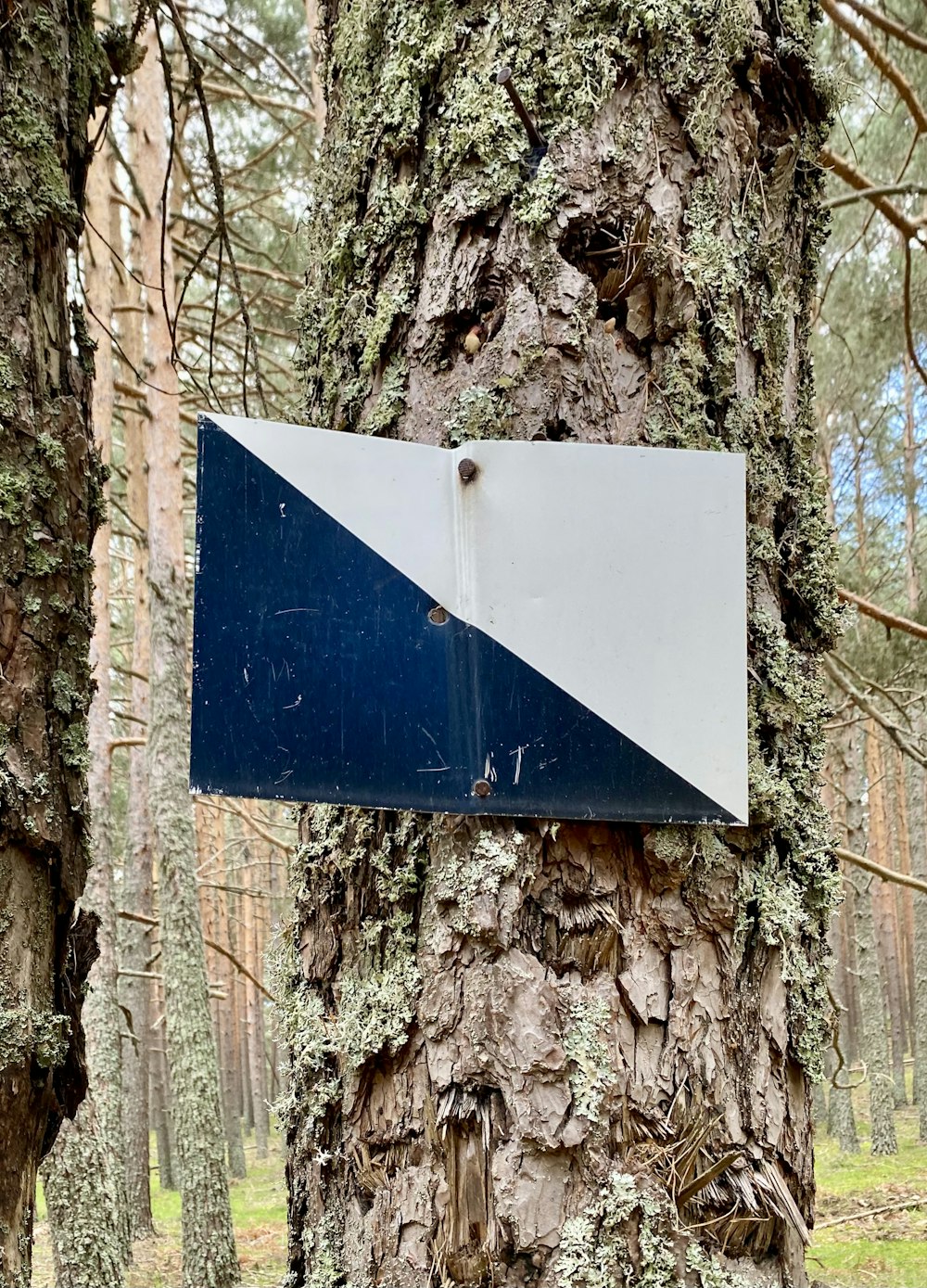 a sign on a tree