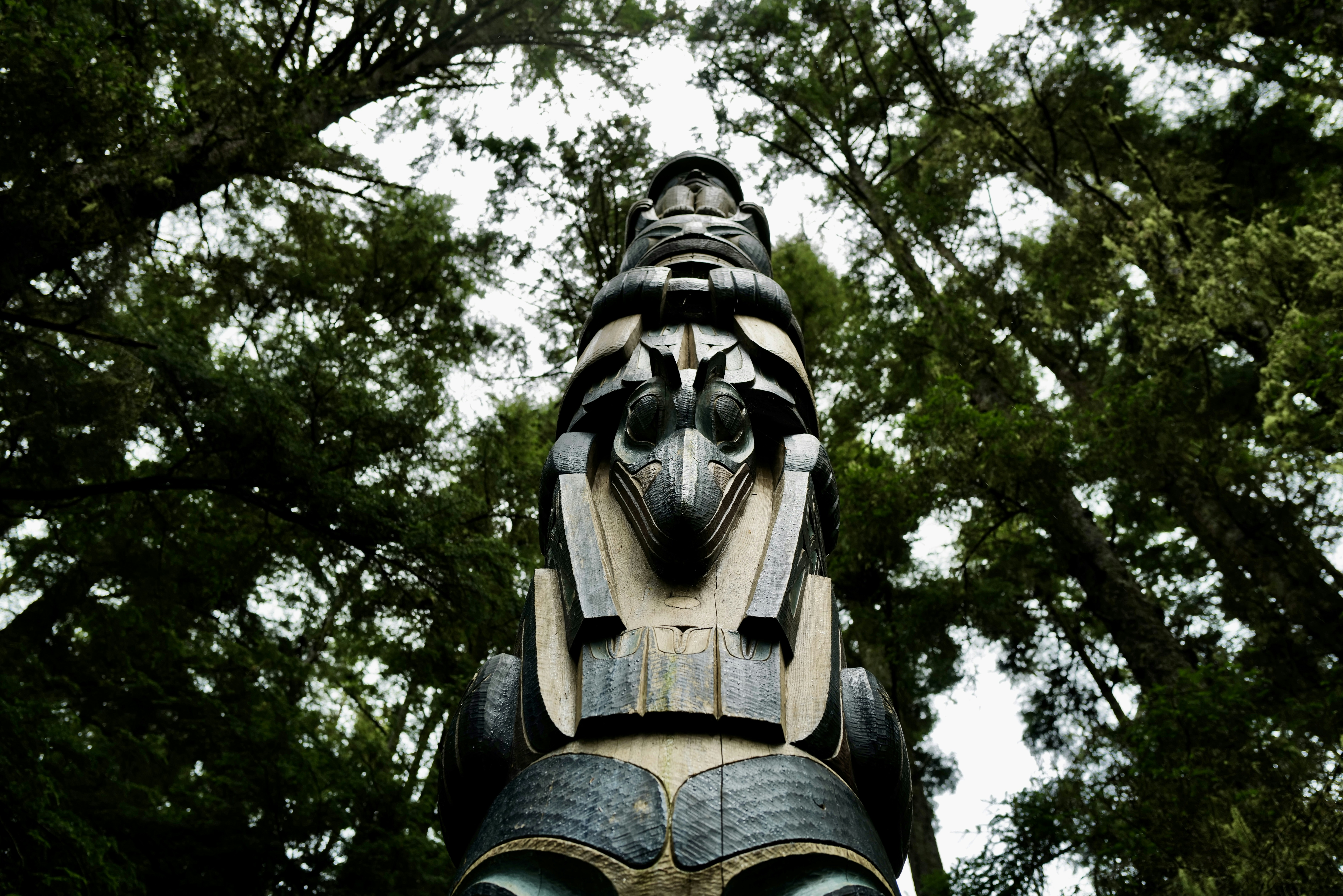 Photo by mostlycogent