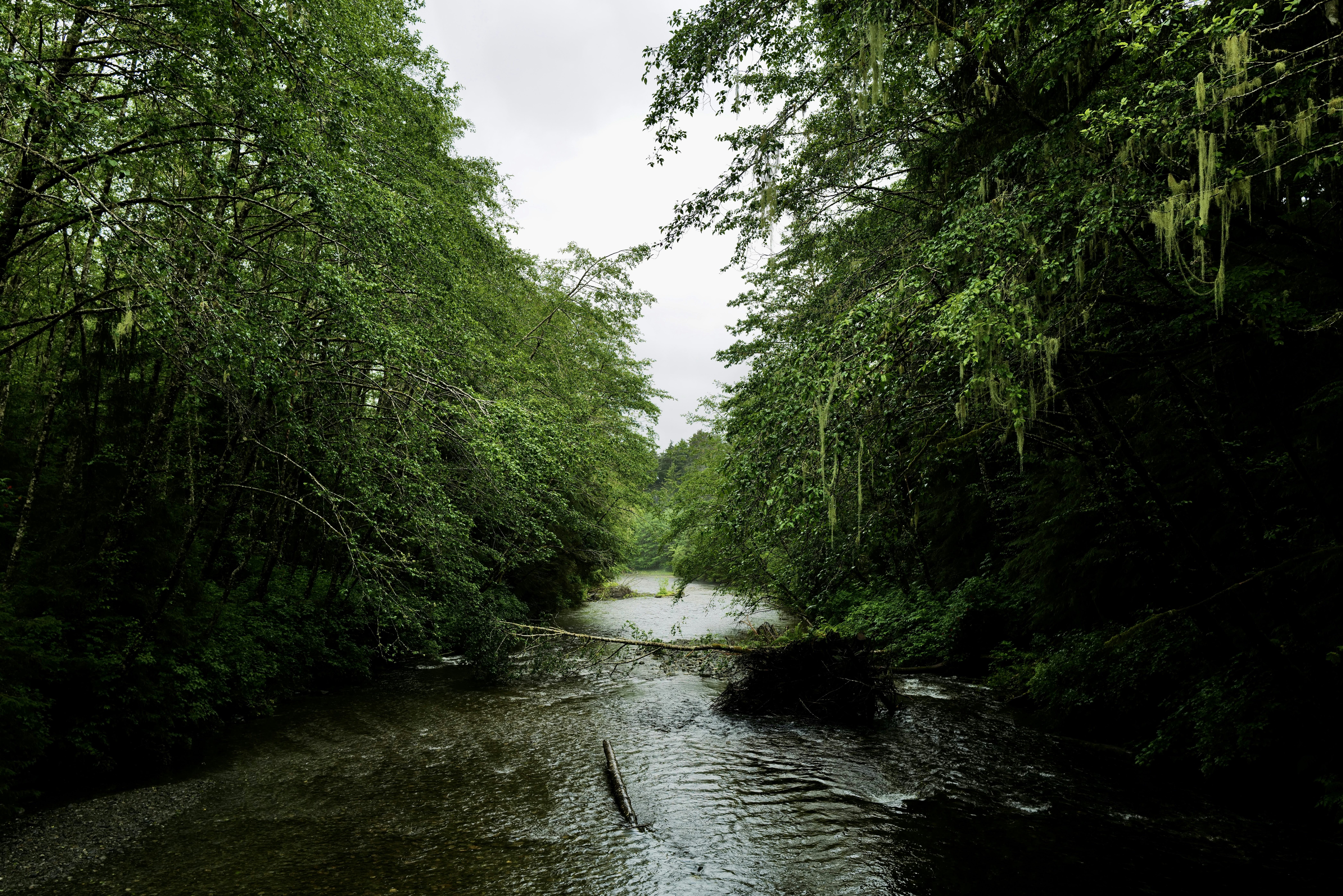 Photo by mostlycogent