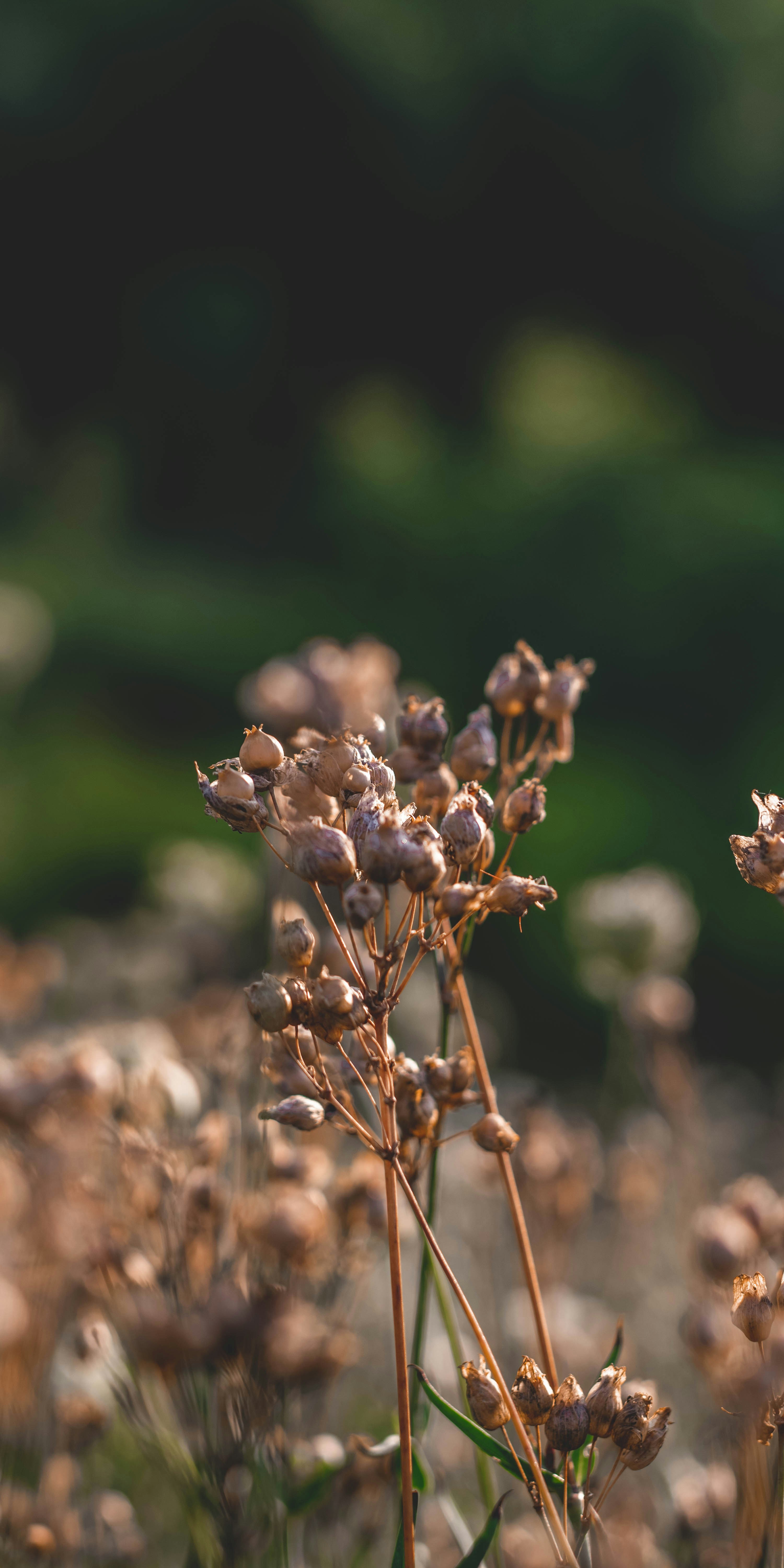 Photo by mikulecmichal