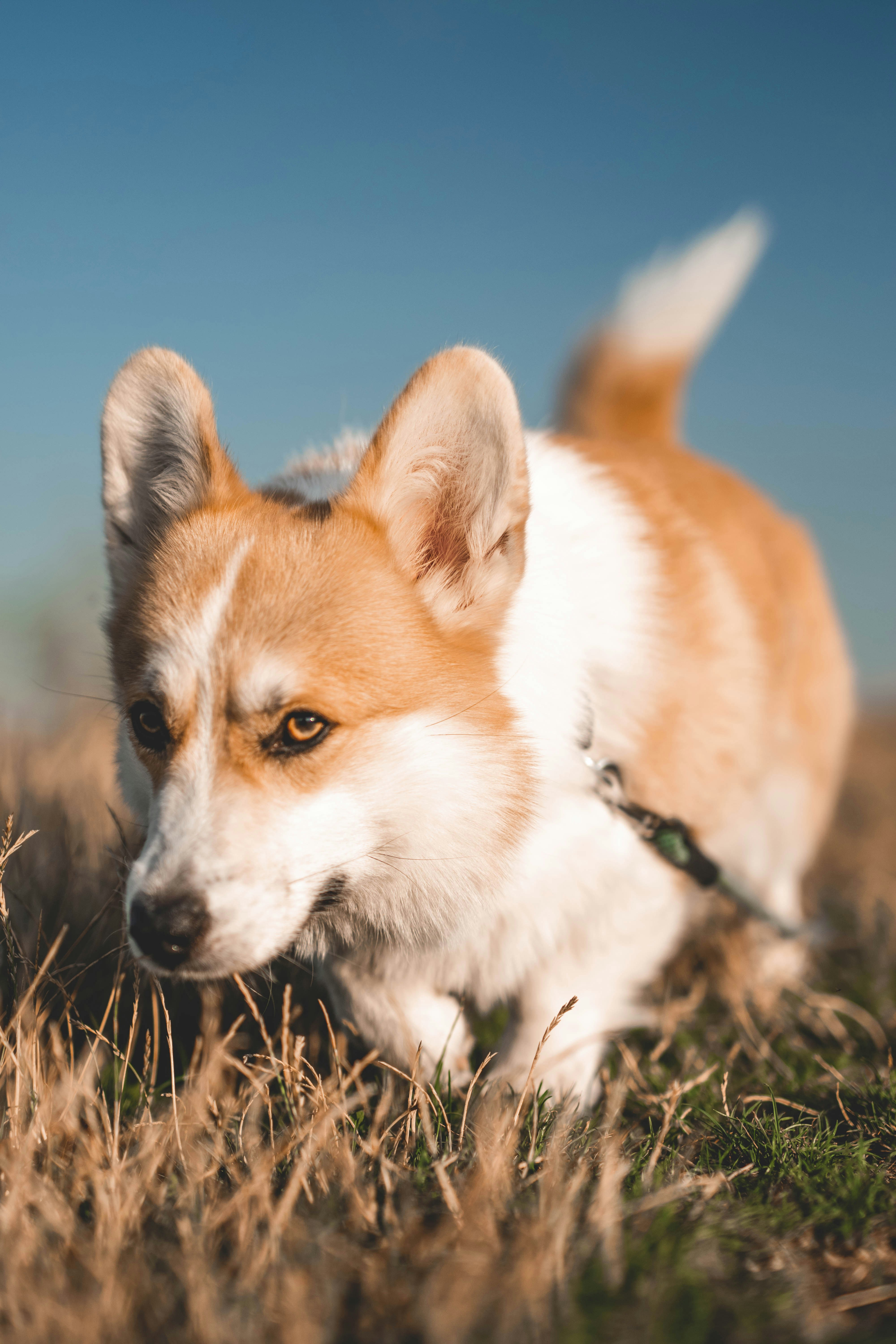 Photo by mikulecmichal