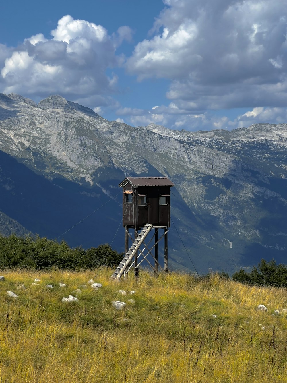 a wooden structure in a grassy field with mountains in the background