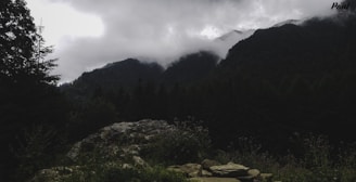 View from a wooden lookout over the misty southern Chilean forest and distant mountains.