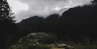 A scenic view of the Smoky Mountains with mist rolling over the peaks at dawn.