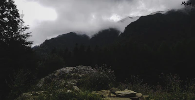 A scenic view of the Smoky Mountains with mist rolling over the peaks at dawn.