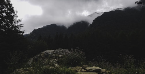 View from a wooden lookout over the misty southern Chilean forest and distant mountains.