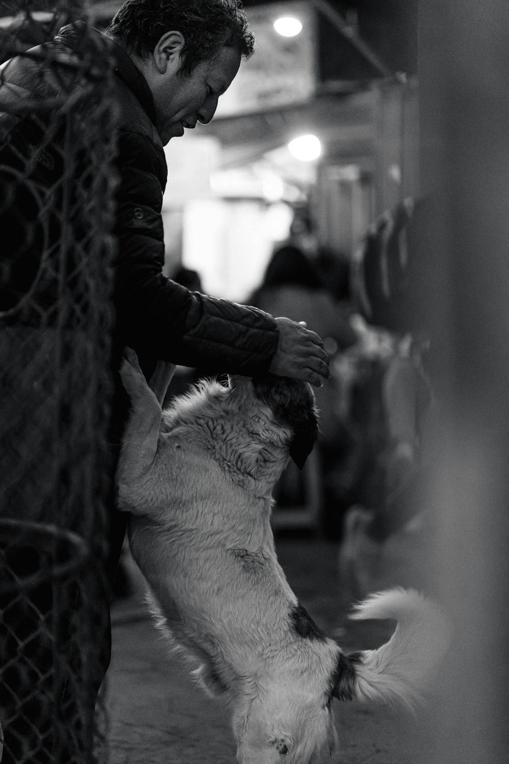 a man holding a cat