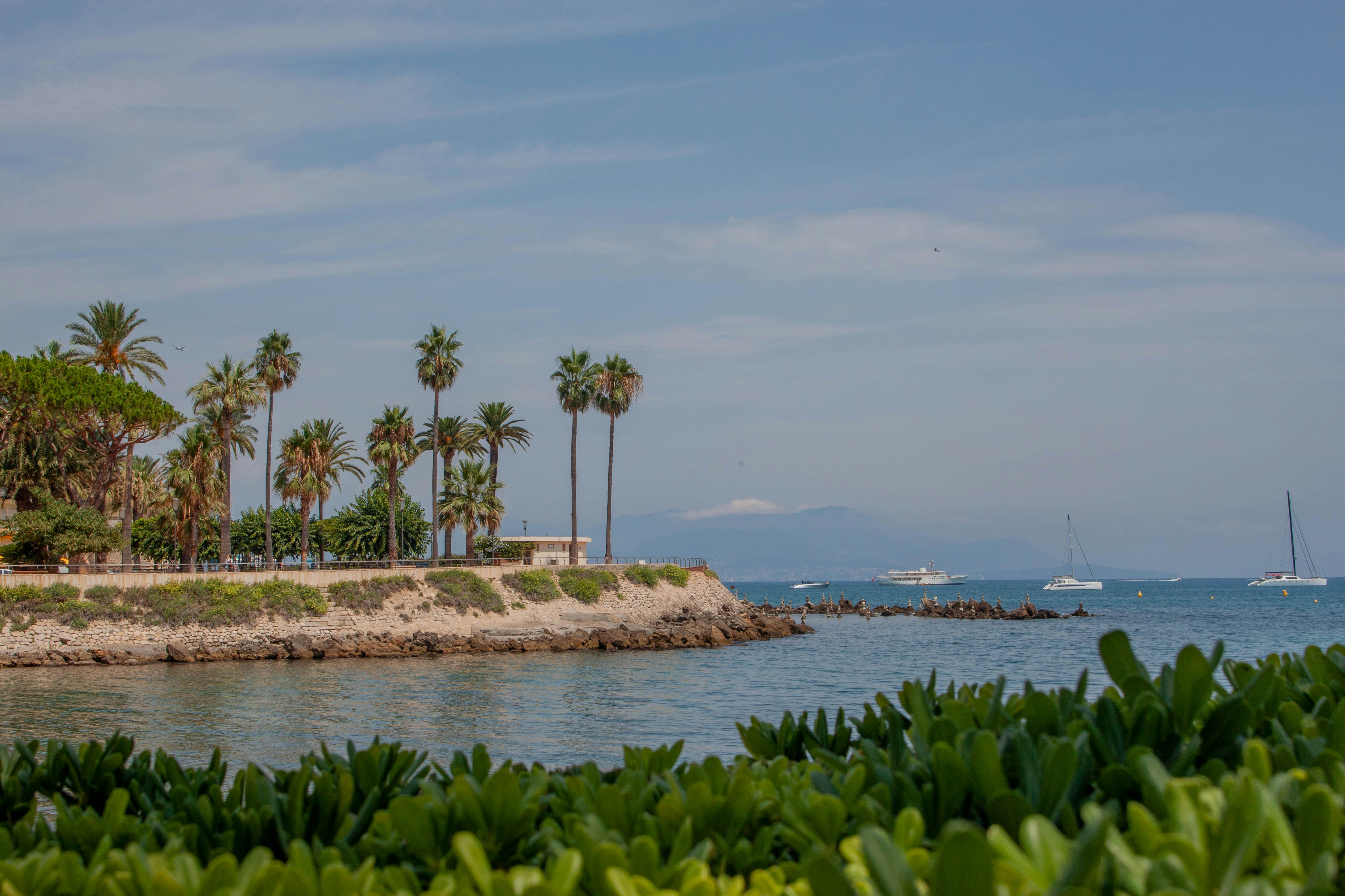 a small island with boats and trees, 