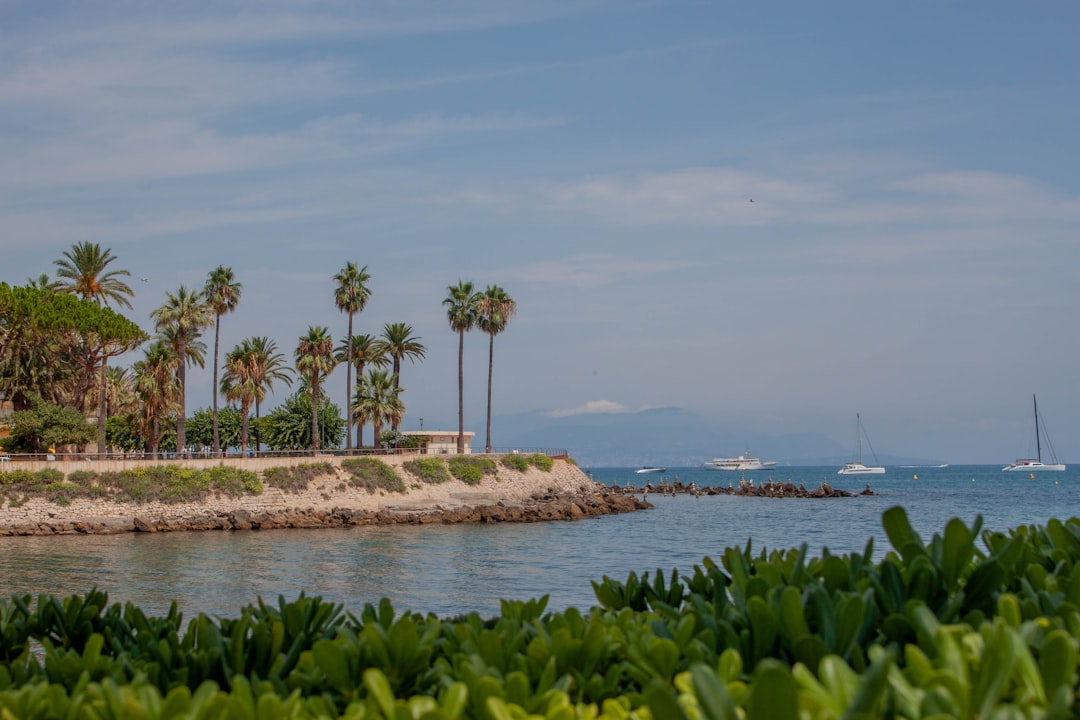 a small island with boats and trees,