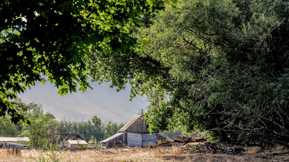 a house in a wooded area