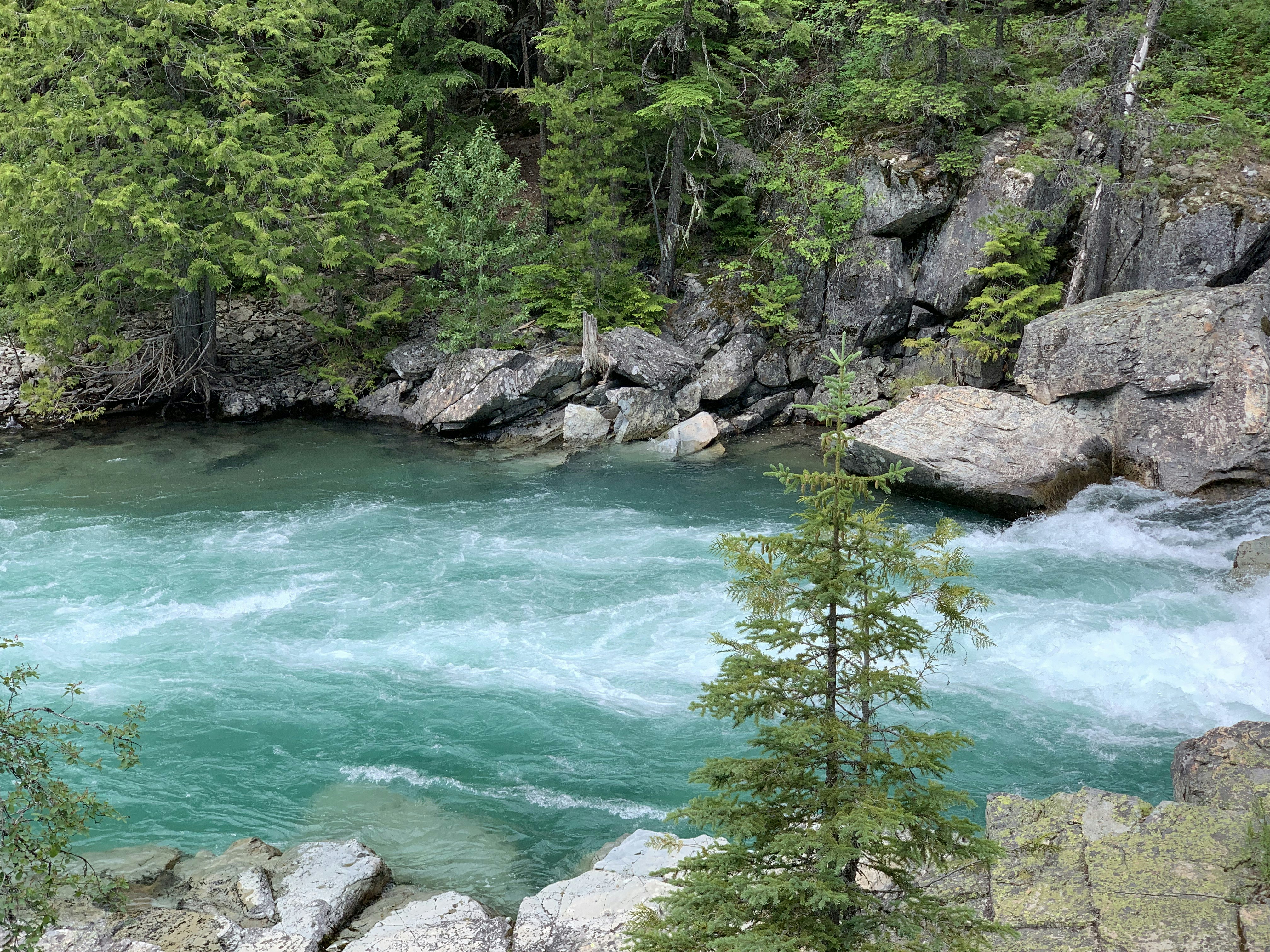 Photo by averyeclark