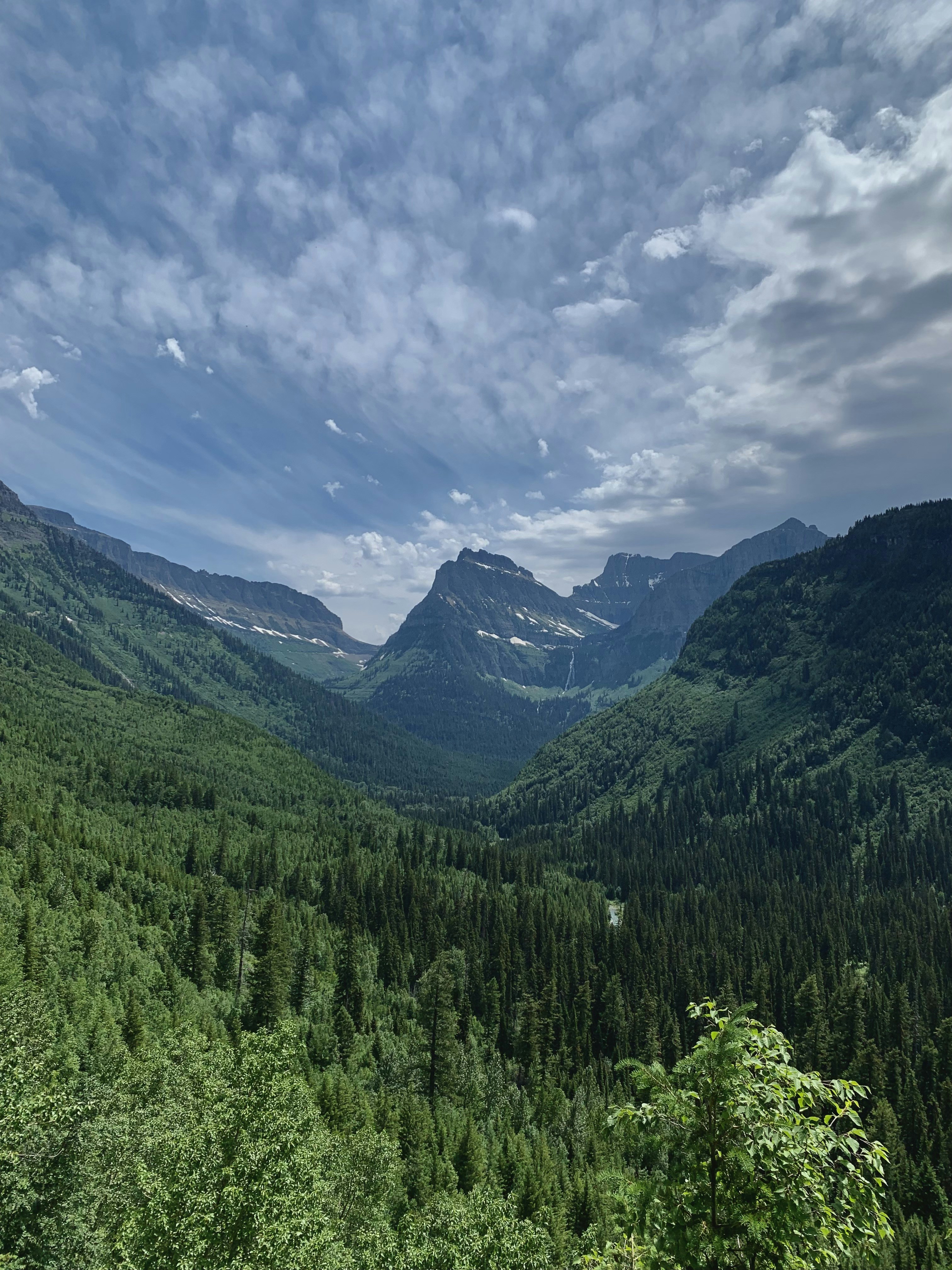 a landscape with trees and mountains
