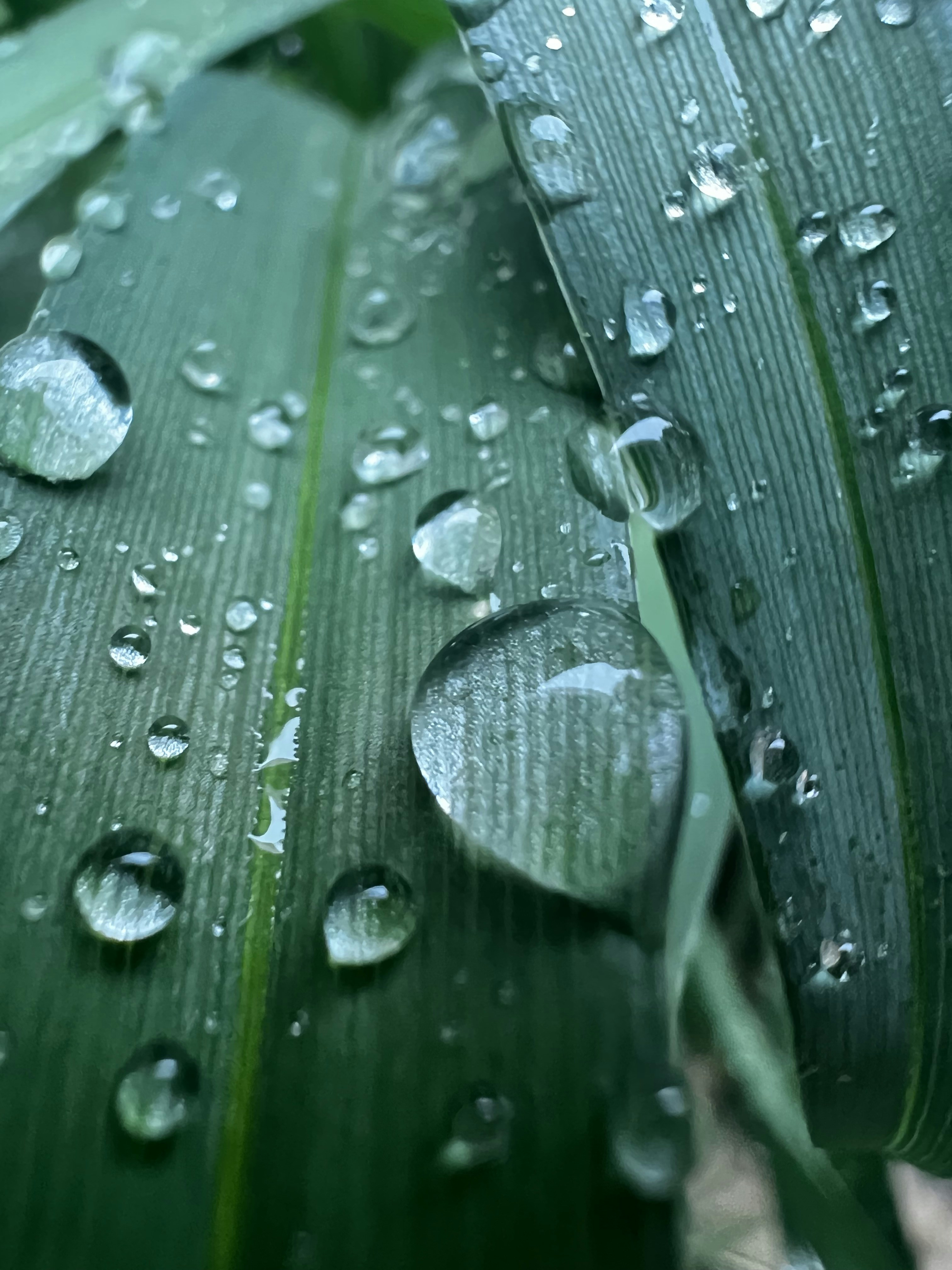 Photo by jaydarose77