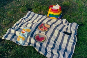 A striped picnic blanket is spread on the grass, with a bag of Lay's Classic chips, slices of watermelon on plates, and a colorful rainbow-striped bag nearby. A small black object, possibly a phone, is also on the blanket.