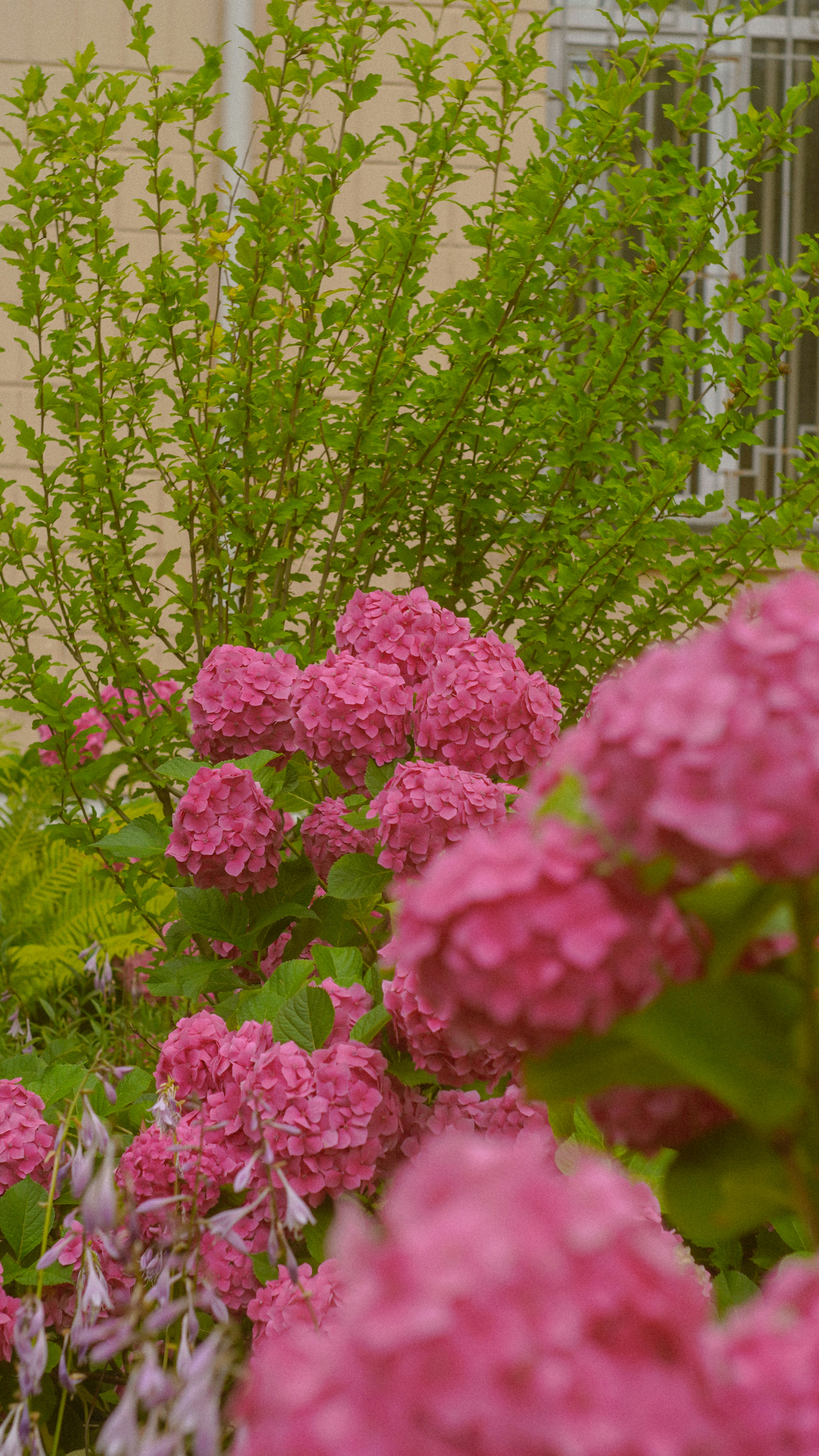 Photo by suleymanovae