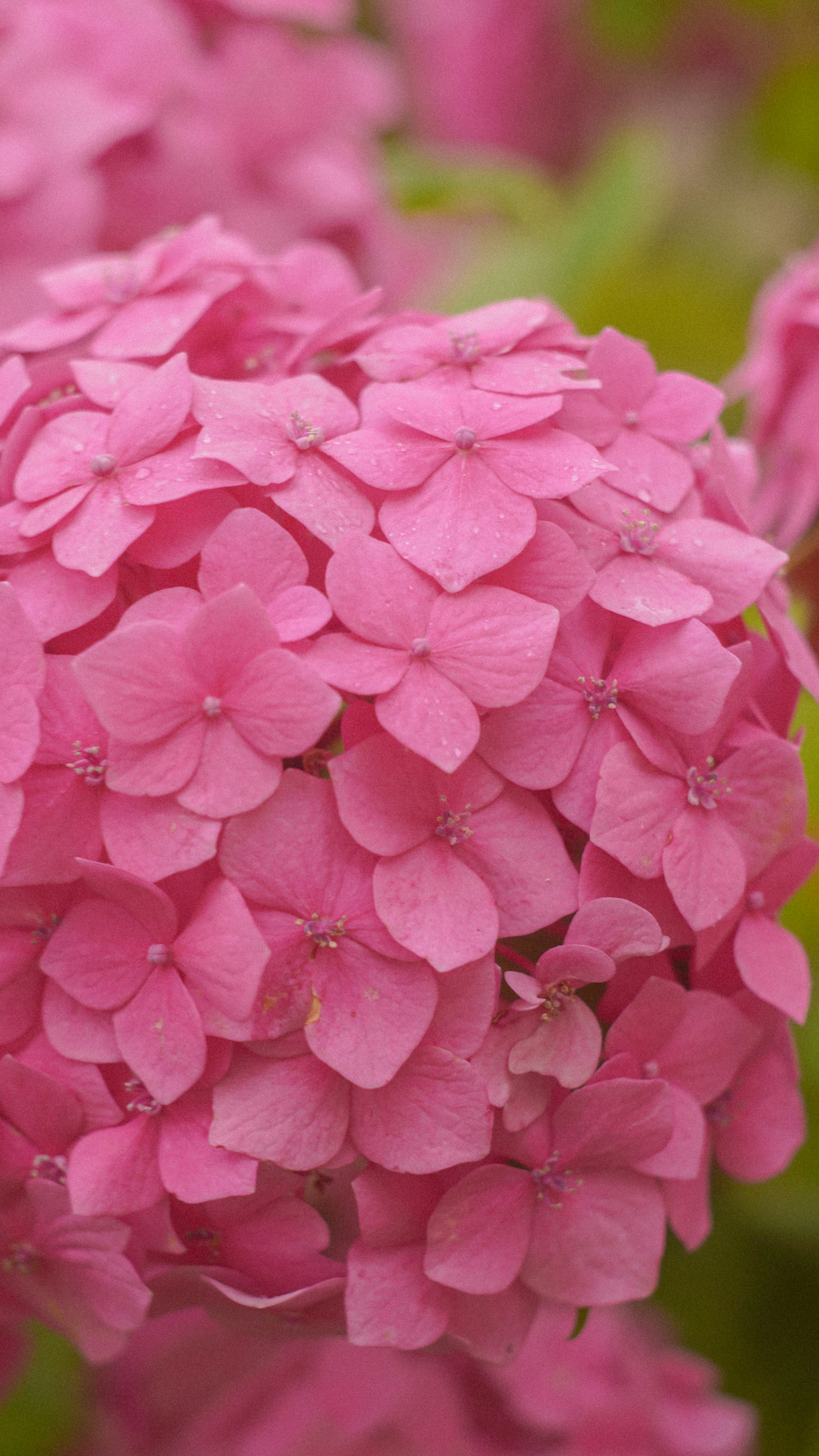 Photo by suleymanovae