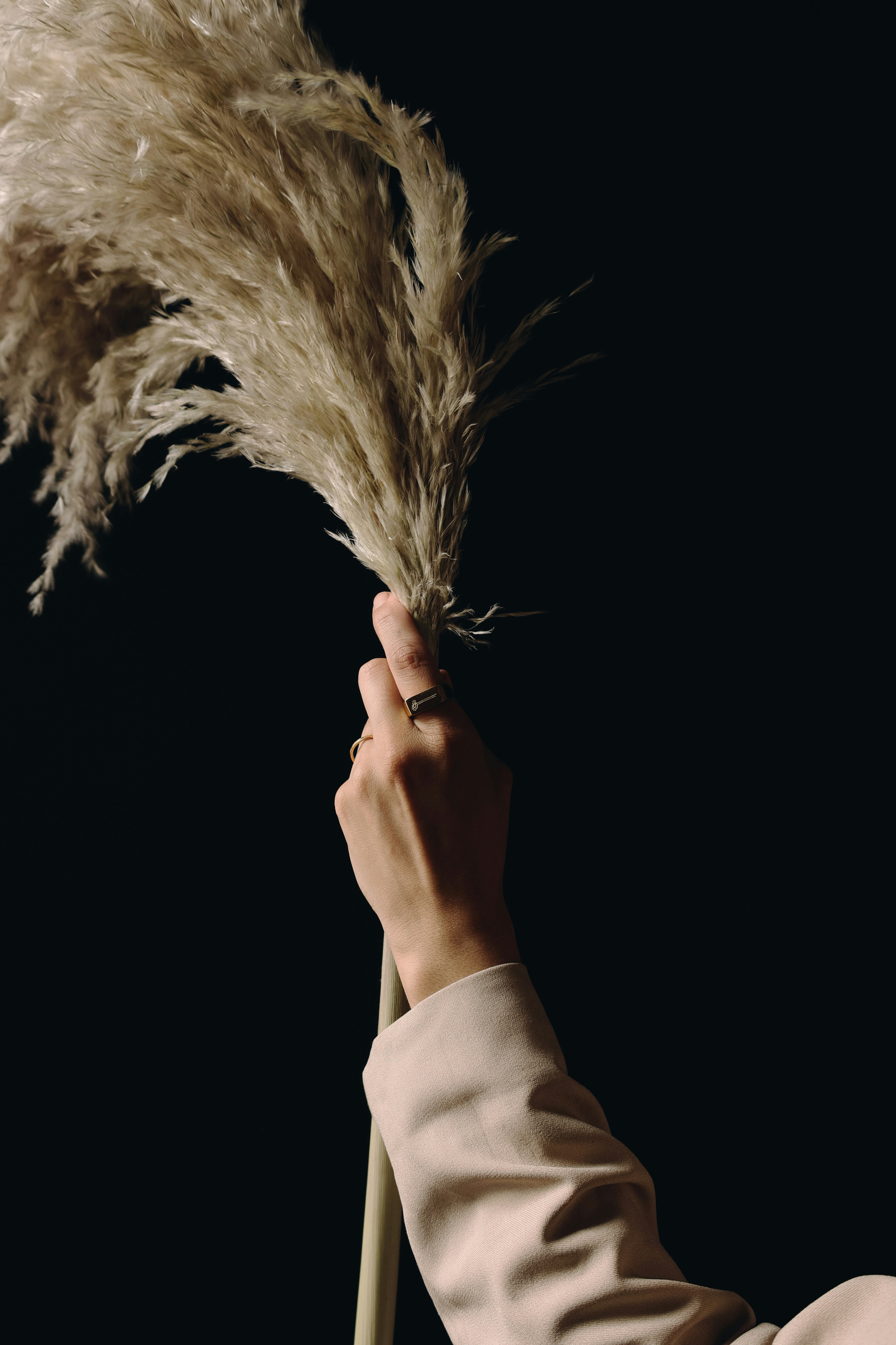 Photo by jonathansancheziam