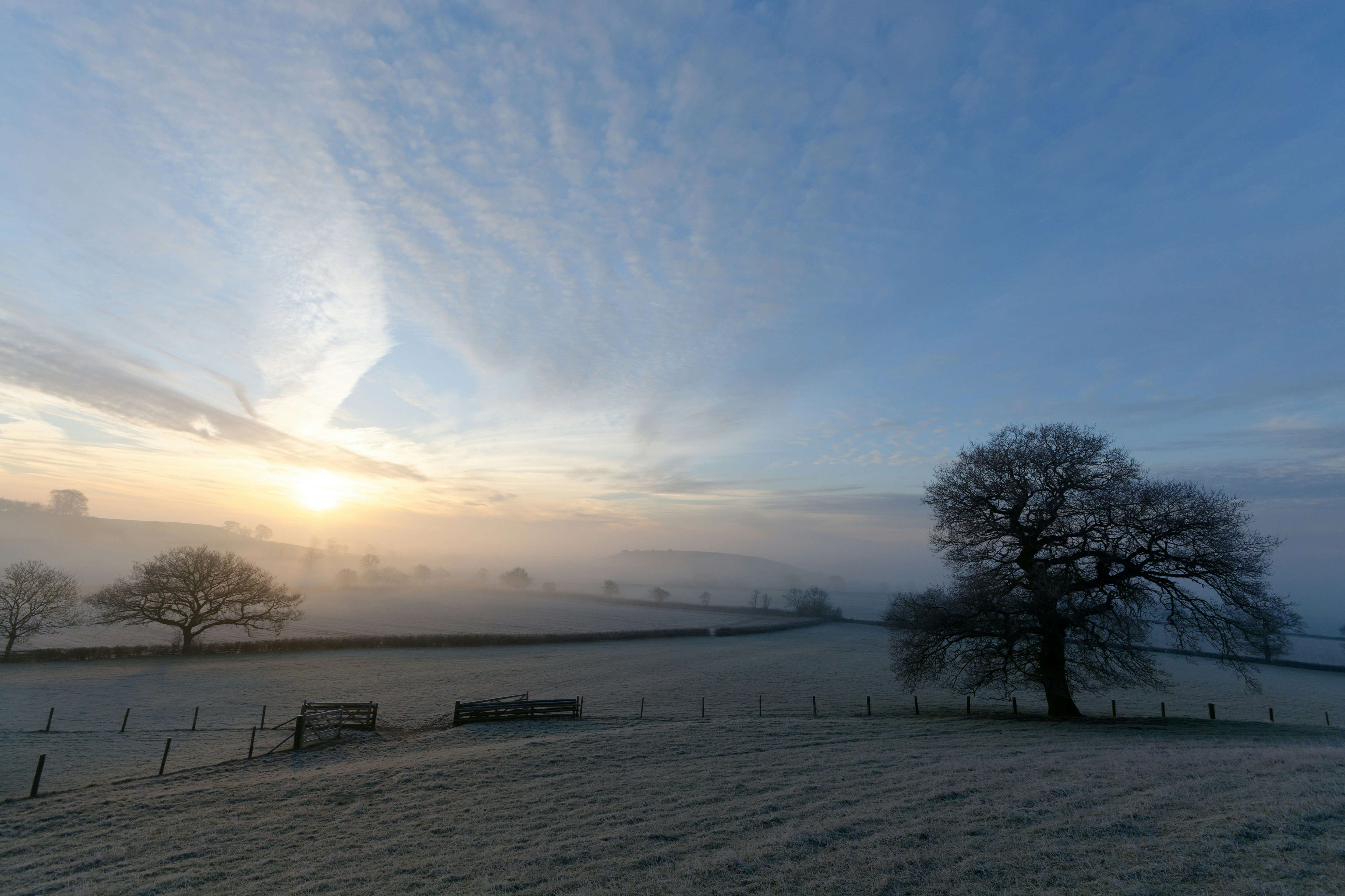 a snowy field with trees and a fence, 