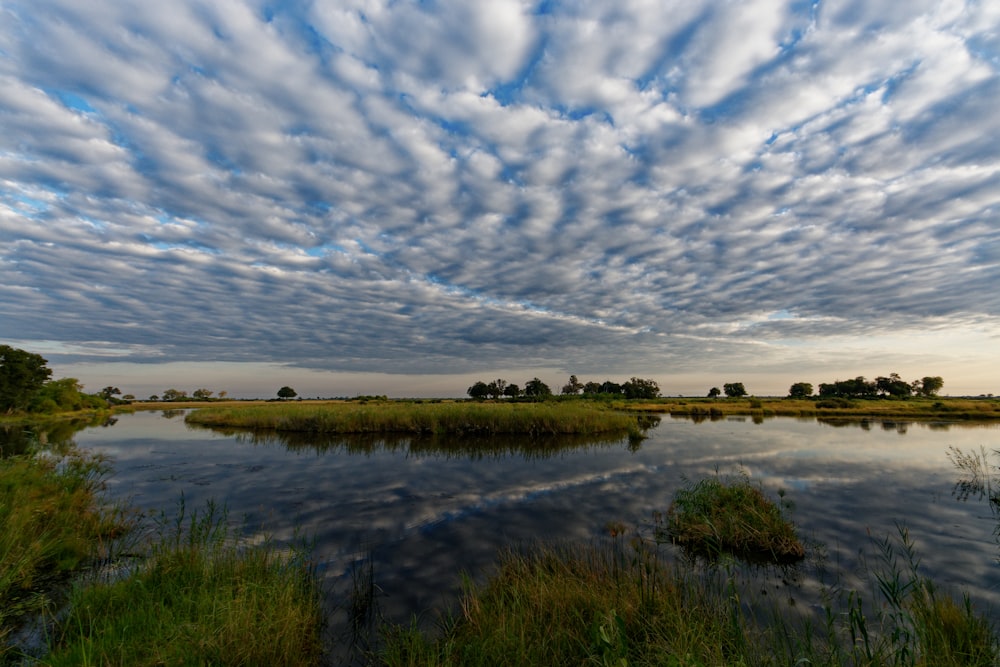 a body of water with grass and trees around it