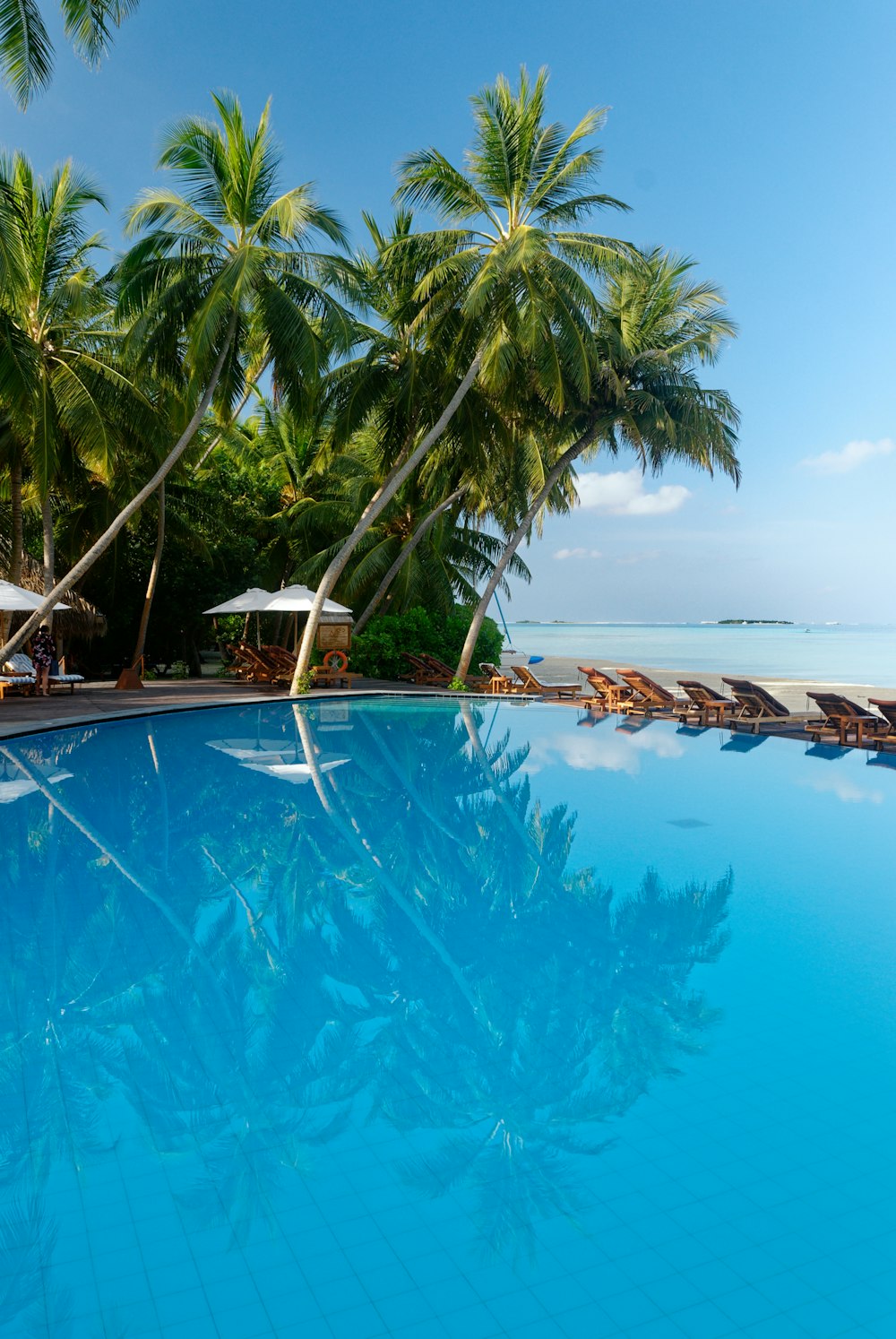 a pool with palm trees and a dock by a beach