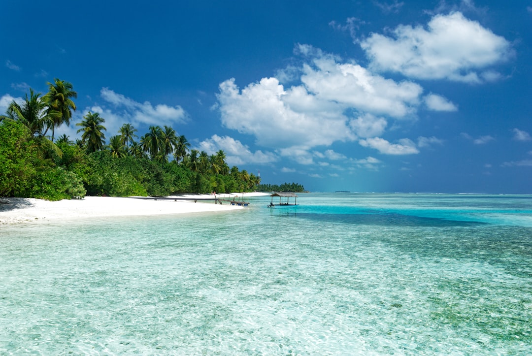 a beach with trees and a pier, Blue skies, clear water, sandy beaches summer clouds, in the Maldives