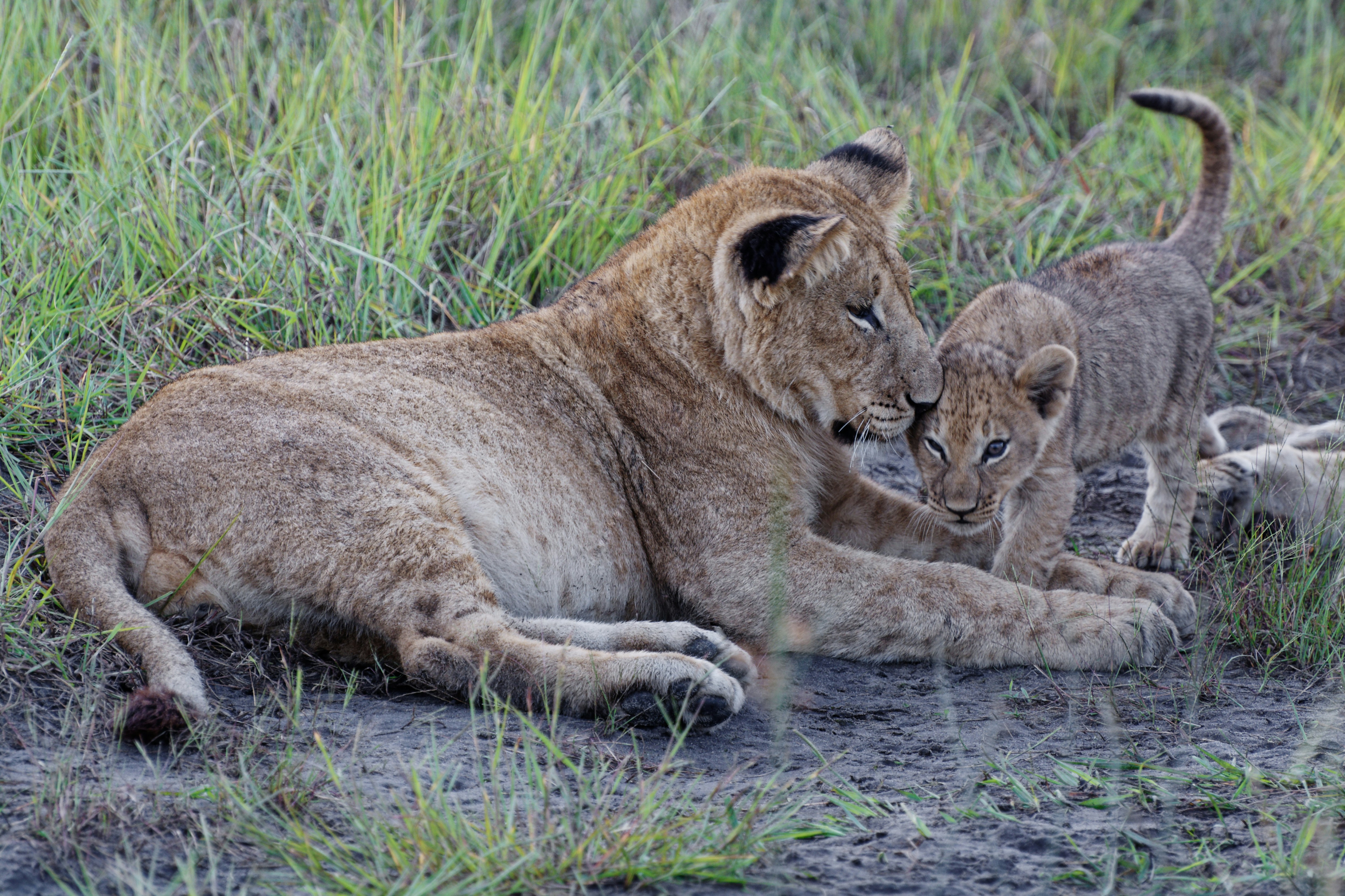 Photo by colinwatts