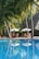 a pool with chairs and umbrellas by a palm tree