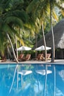 a pool with chairs and umbrellas by a palm tree