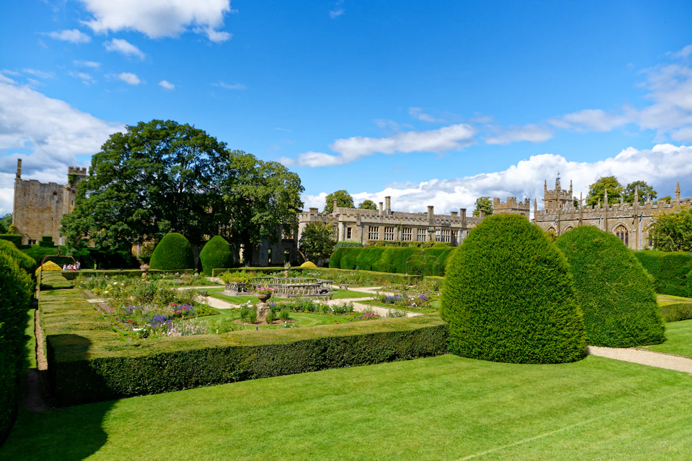 Residential front yard with manicured green grass and hedge borders