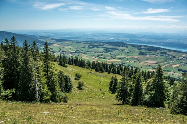 A scenic landscape of the Irish countryside with lush greenery.