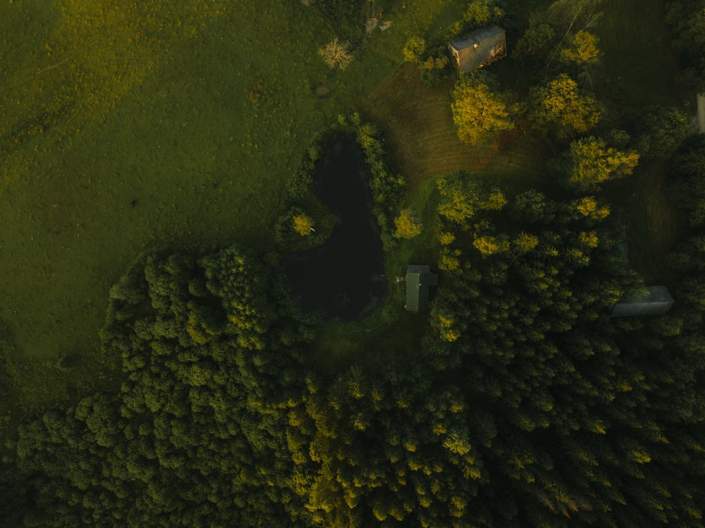 a body of water with trees and plants around it