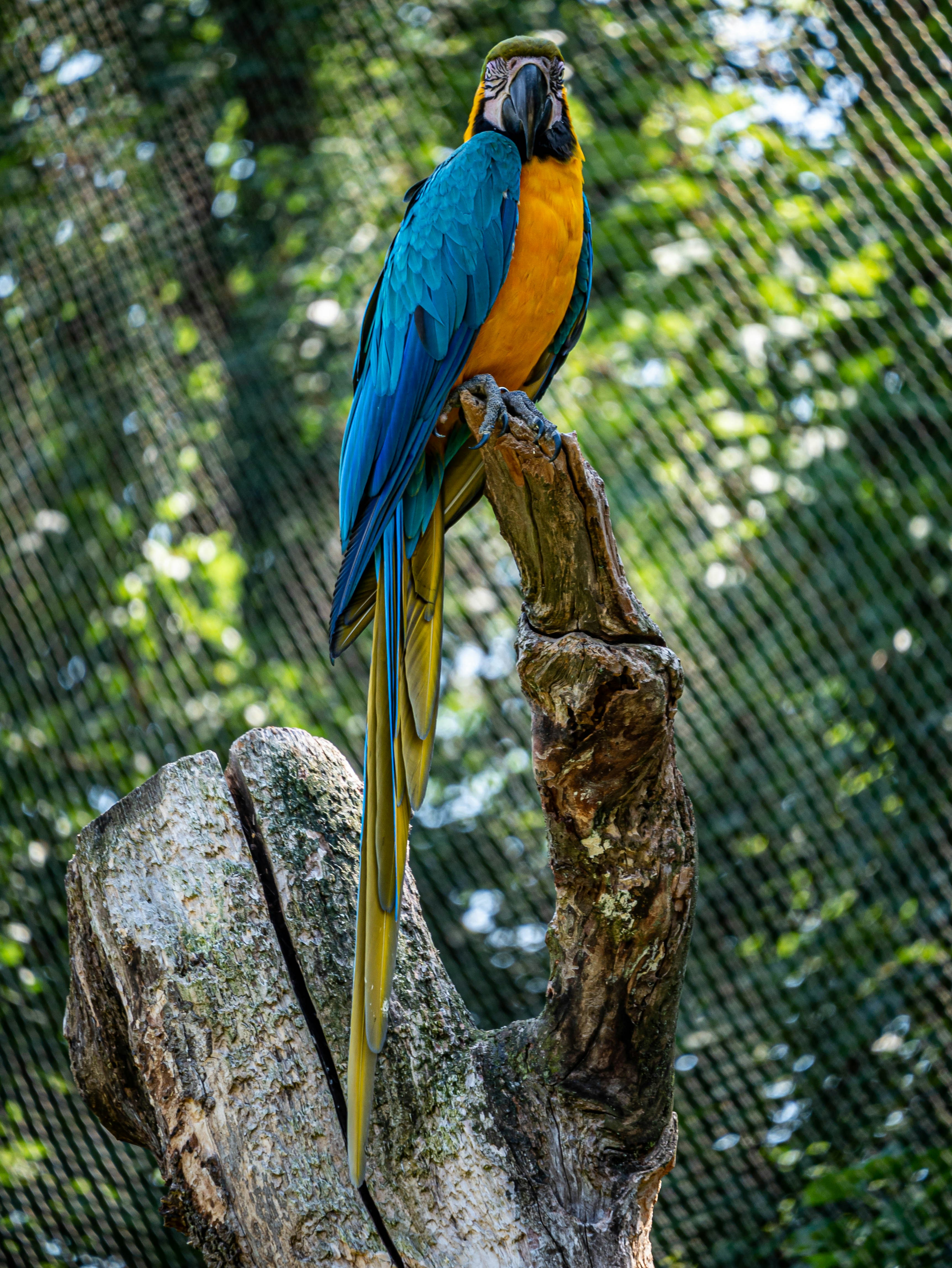 Photo by jameskitt616