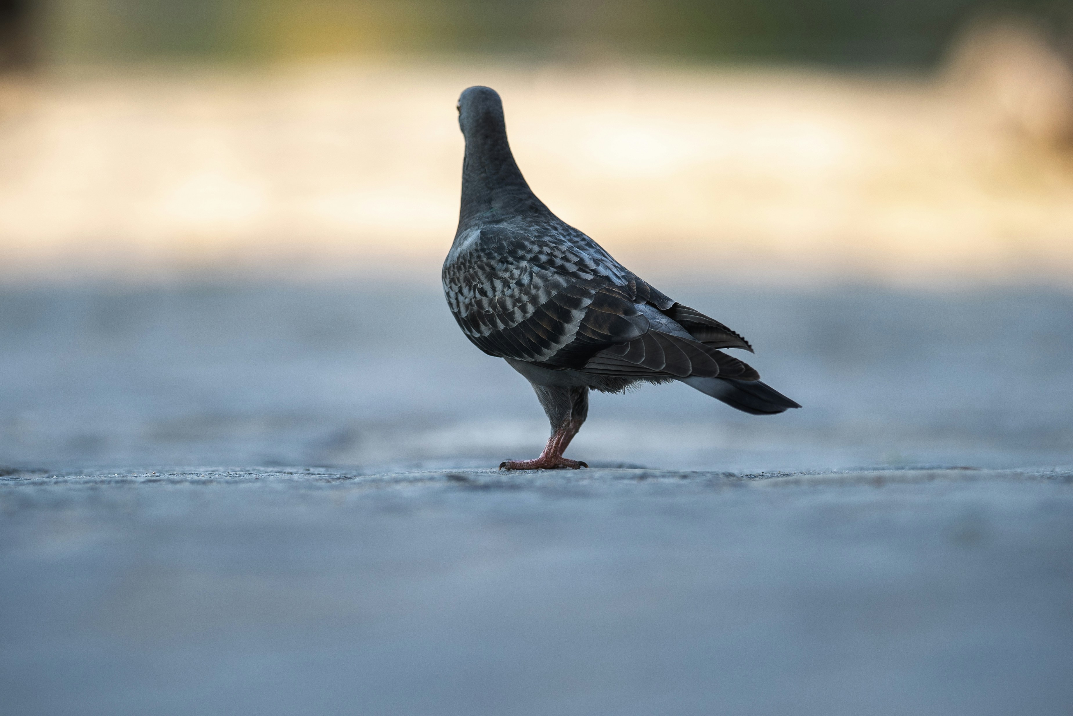 Photo by omarvellous14