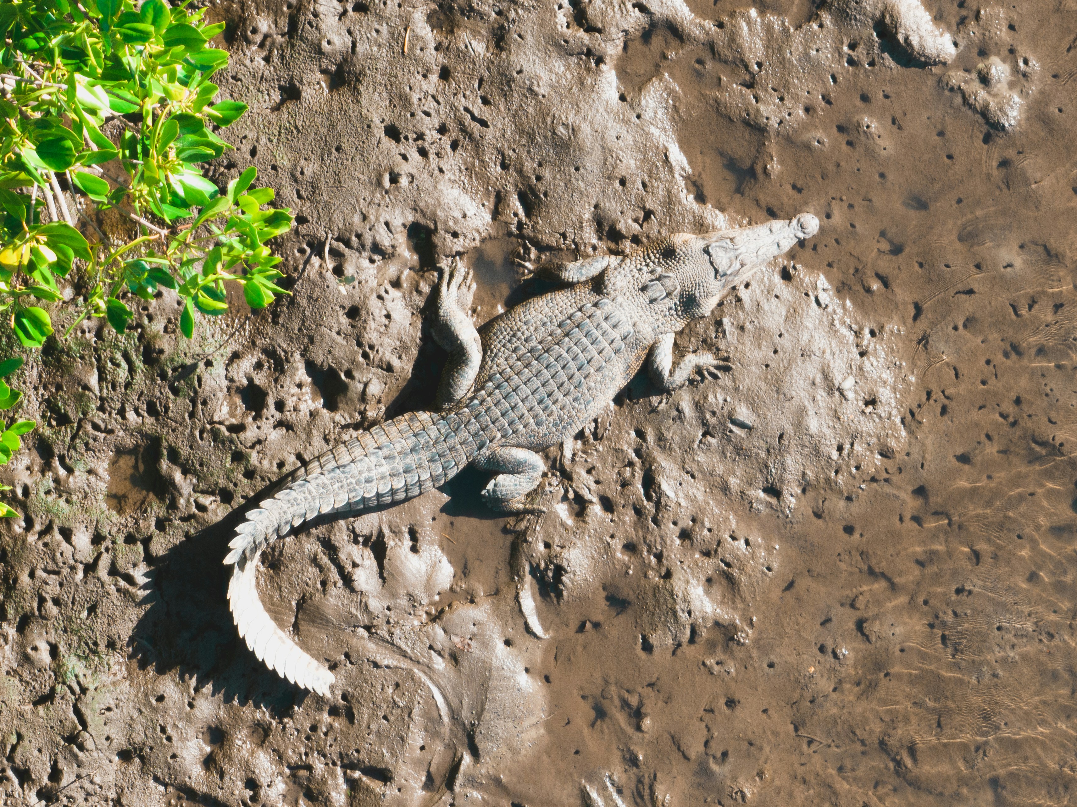 Photo by joshwithers