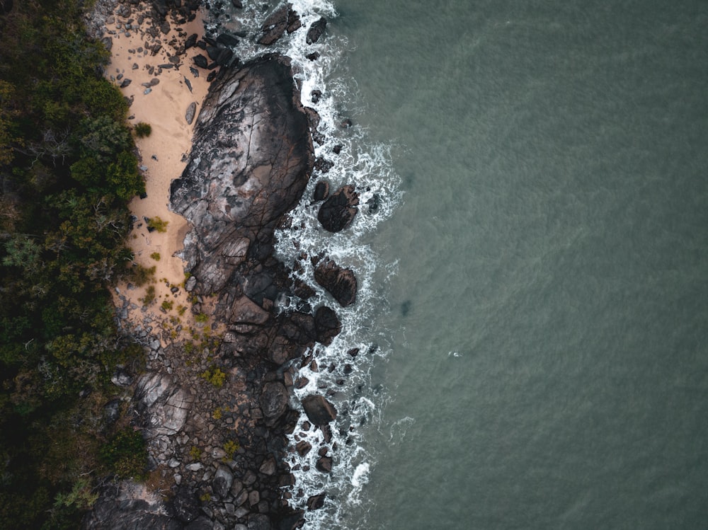 a rocky beach with trees