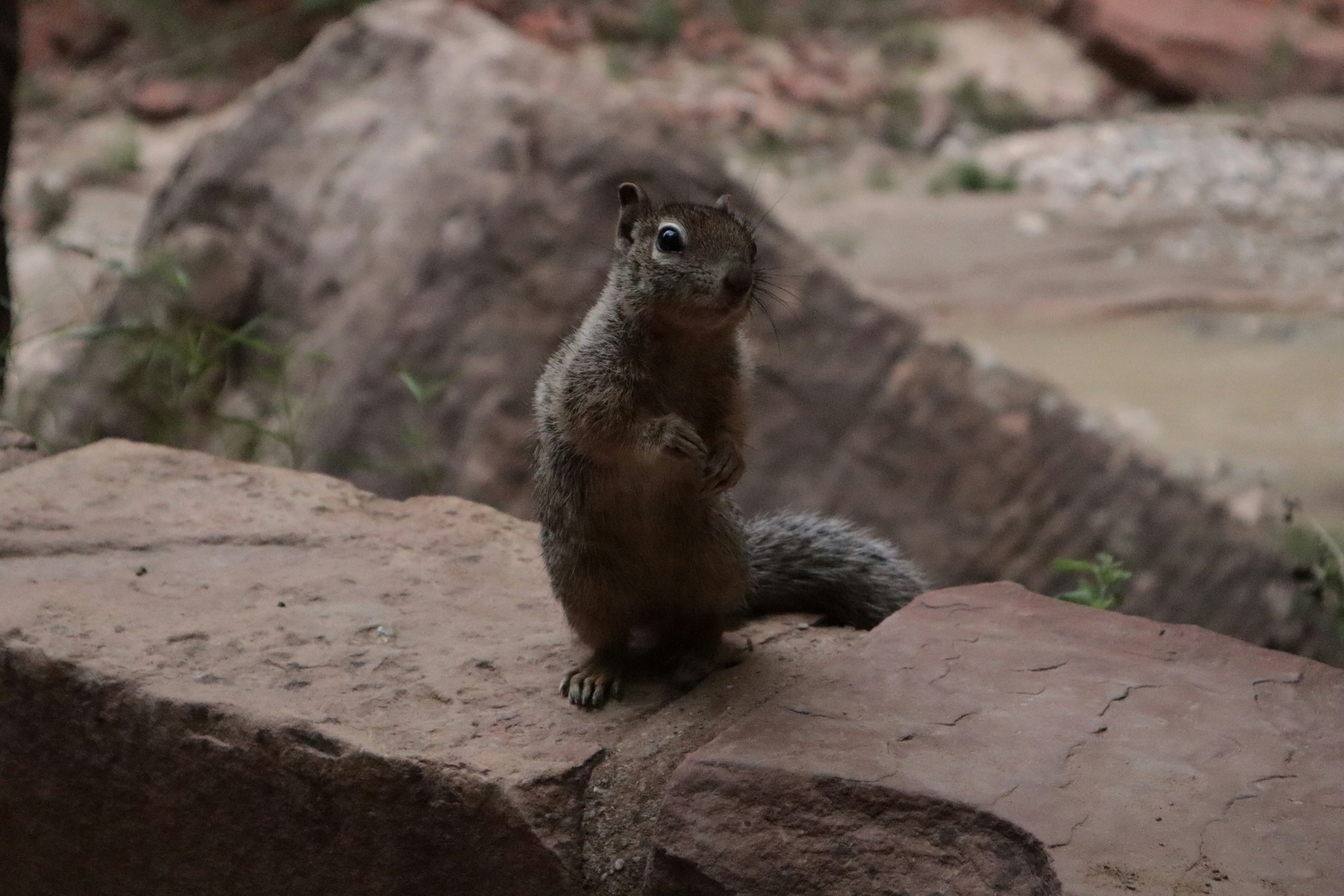 Photo by kccreations