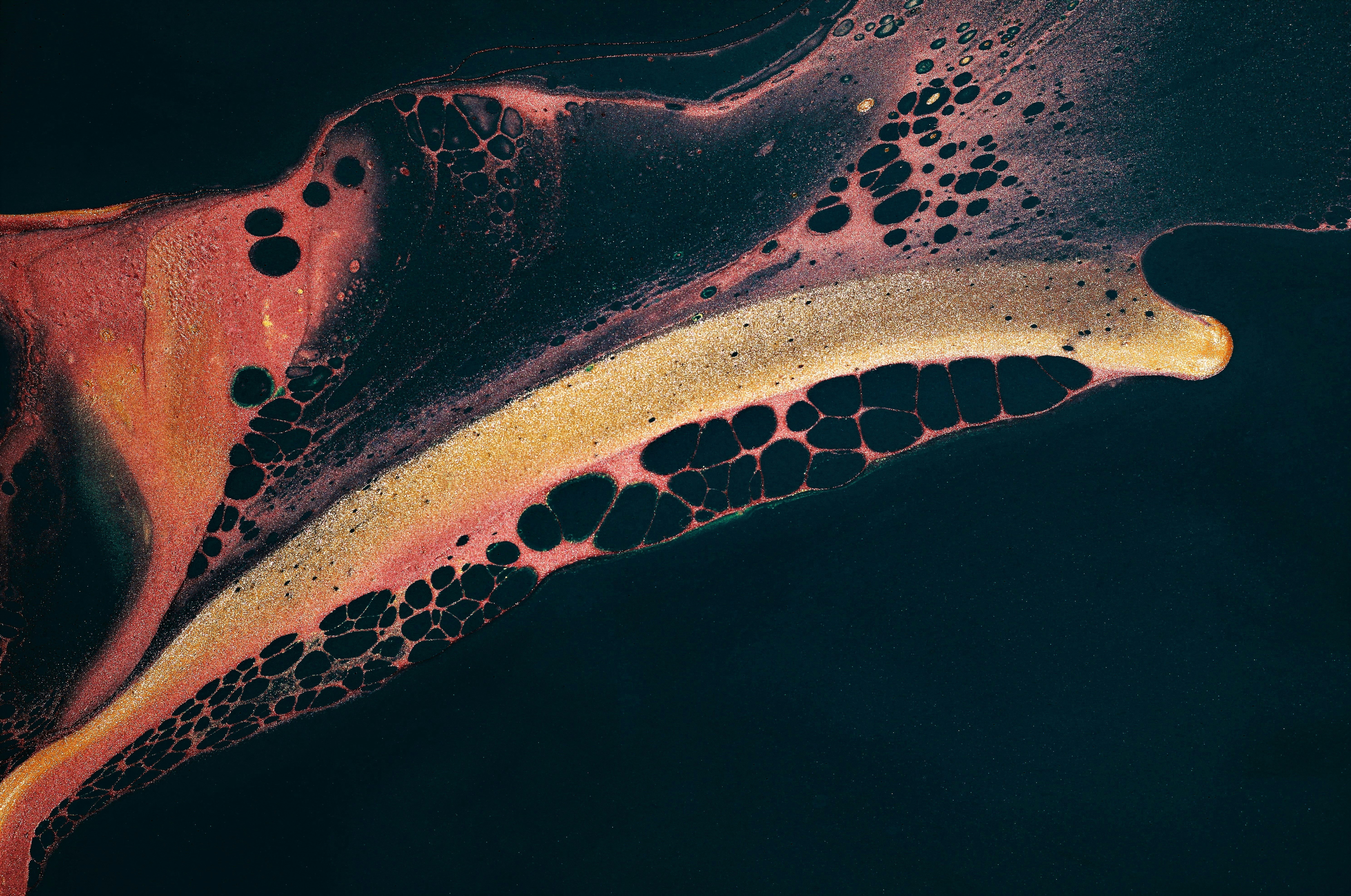 Inside the Molecule: Biosynthesis, Molecular Structure, and How Decarboxylation Changes Effects