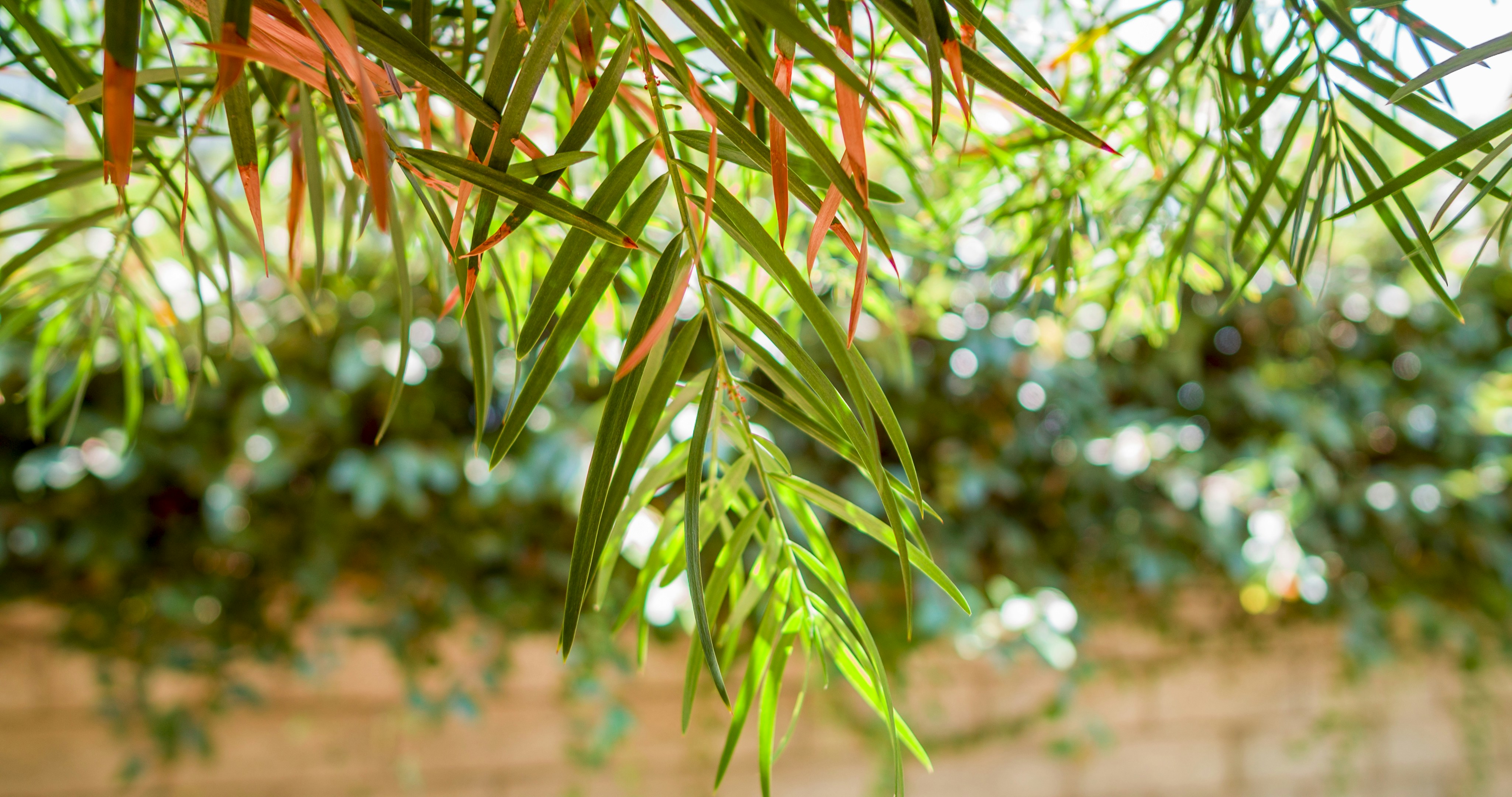 Photo by _nickwright_