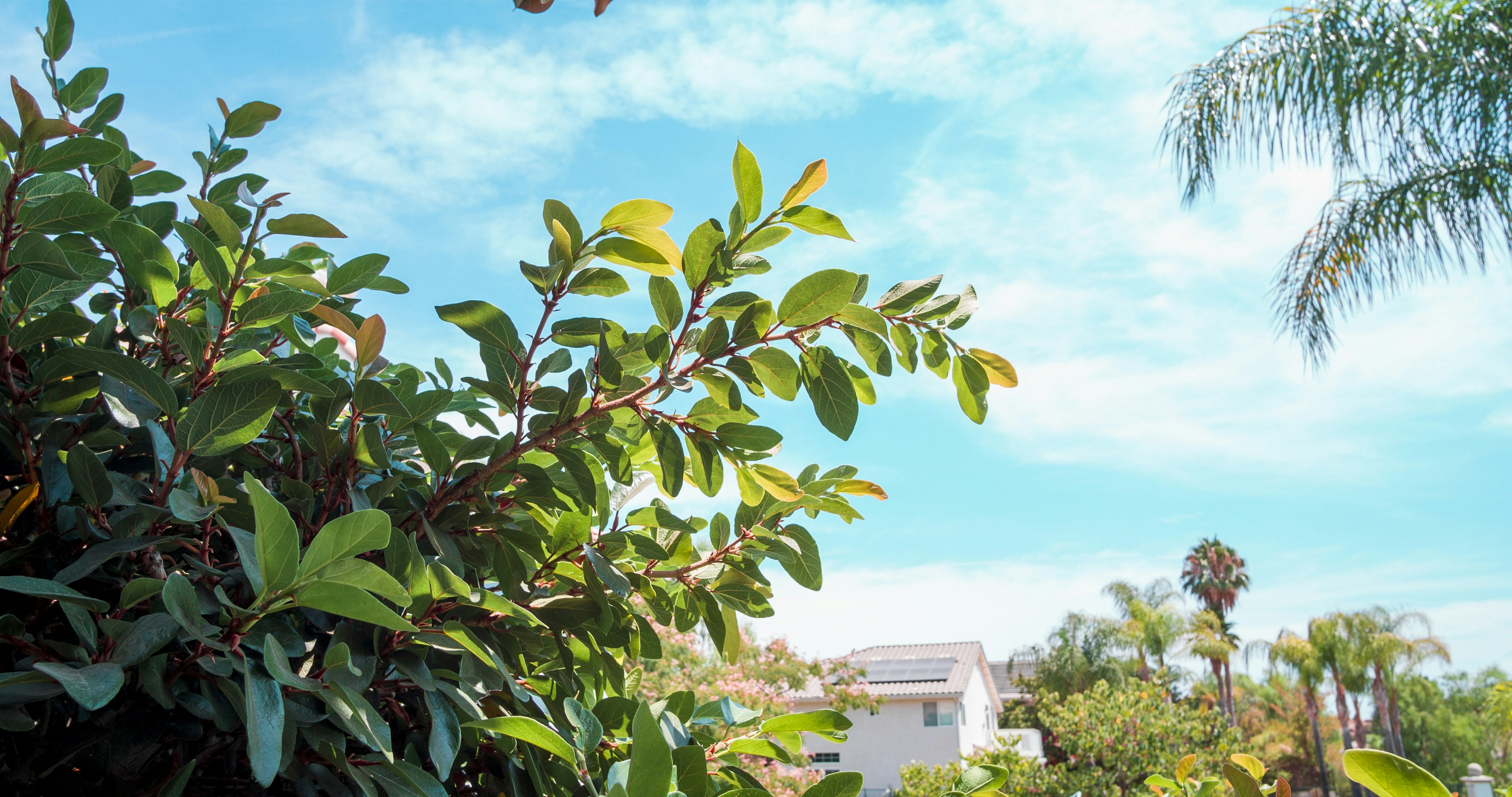 Photo by _nickwright_