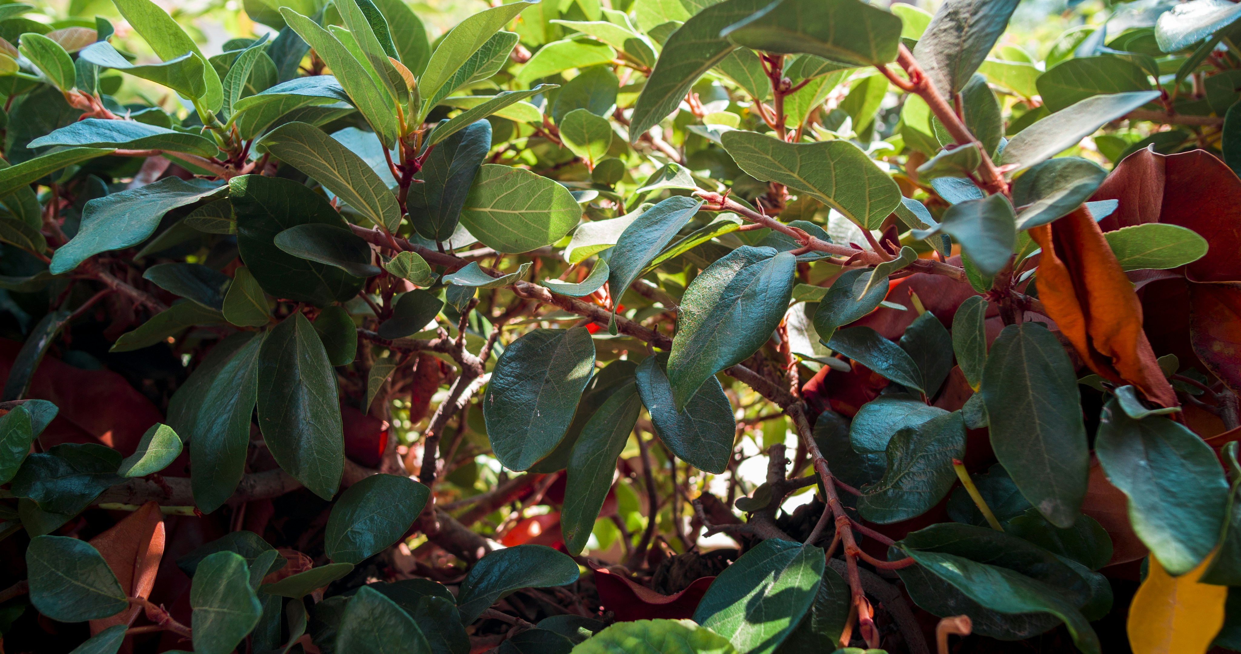 Photo by _nickwright_