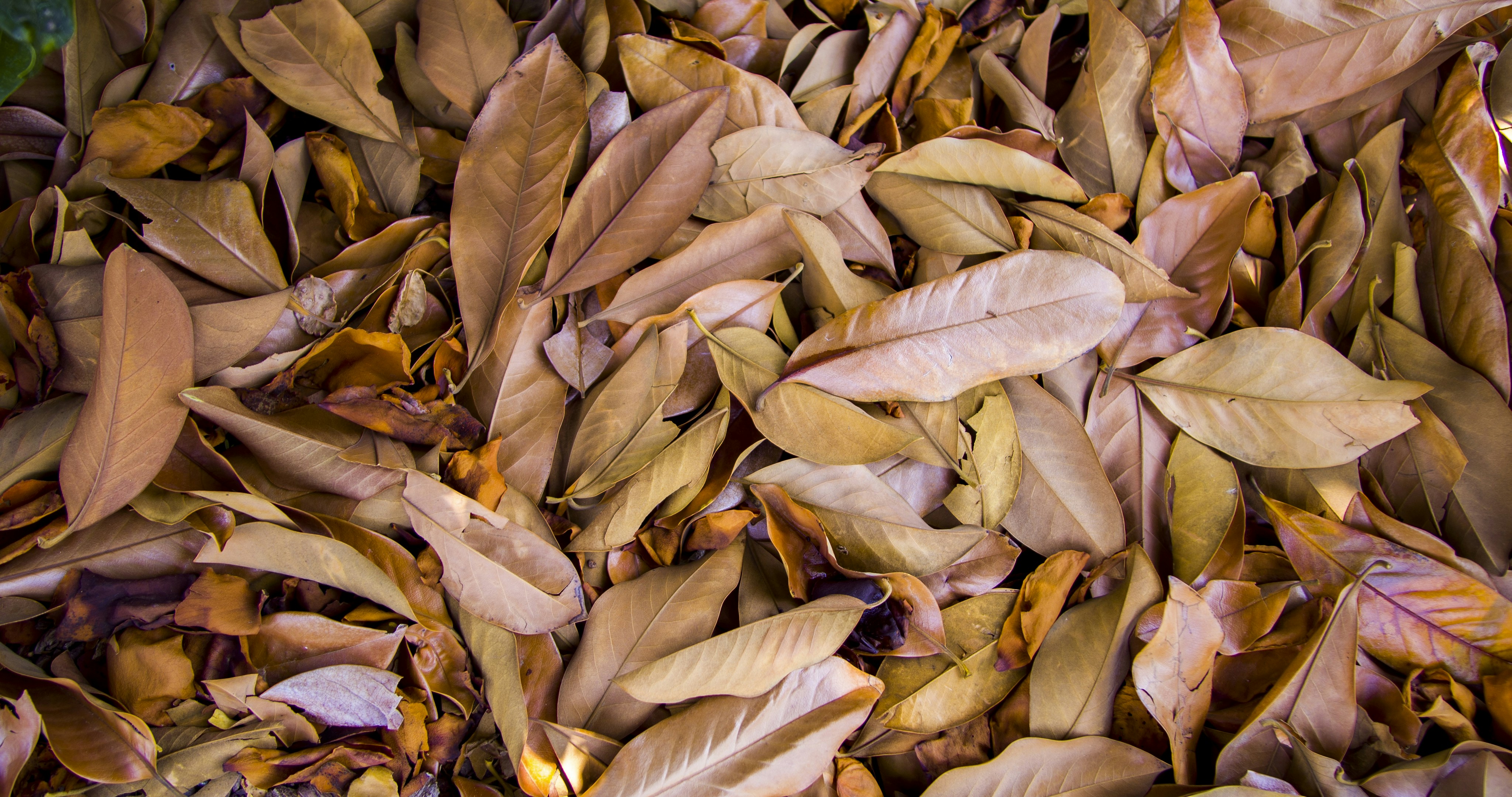 Photo by _nickwright_