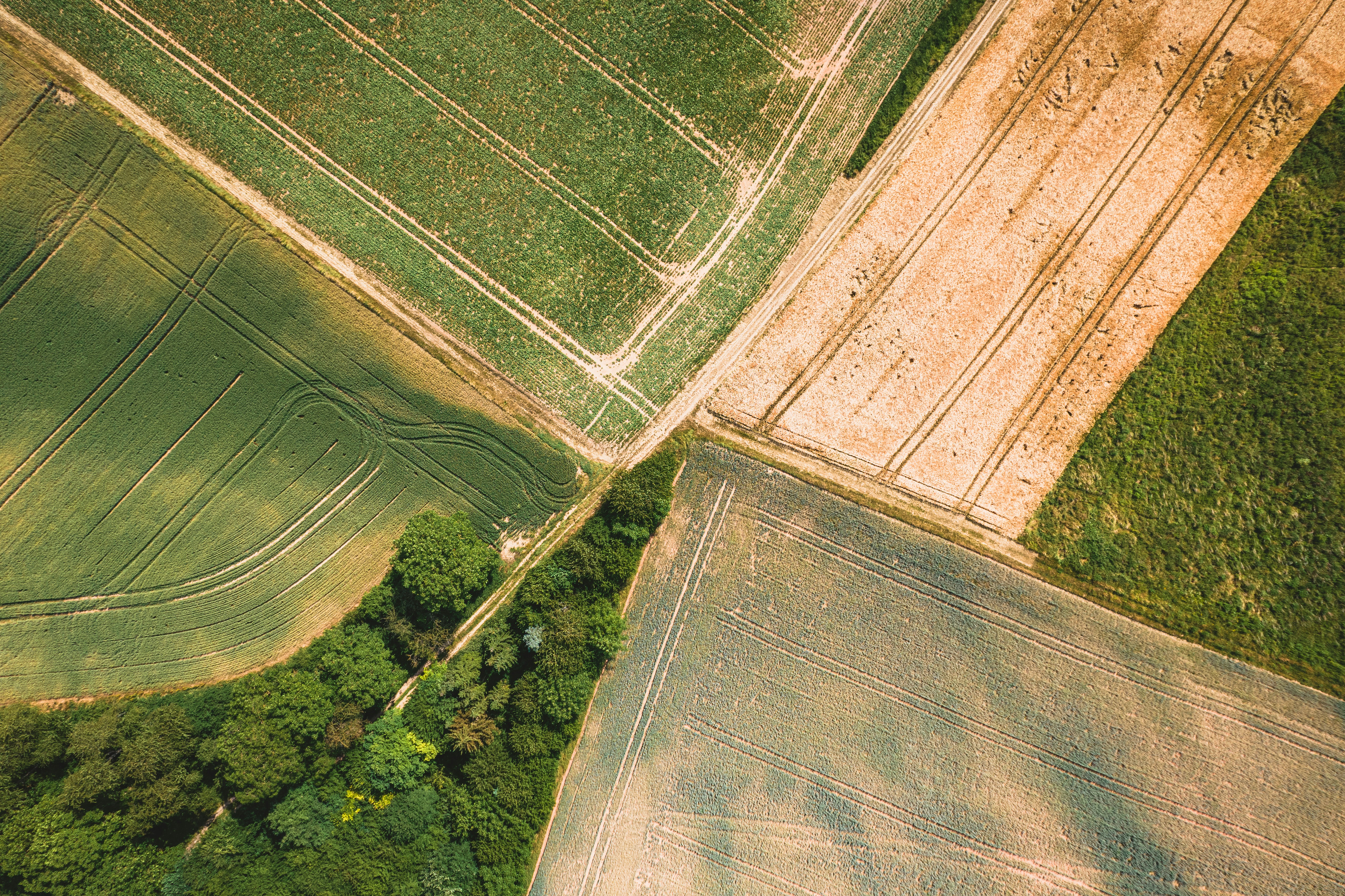 Photo by timonreinhard