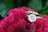 A sparkling diamond ring is delicately placed on vibrant red petals of a flower. The background consists of lush green leaves, providing a natural and elegant setting.