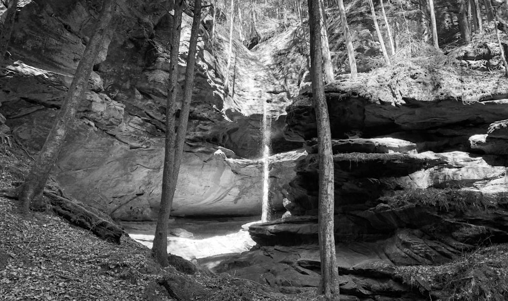 a waterfall in a forest