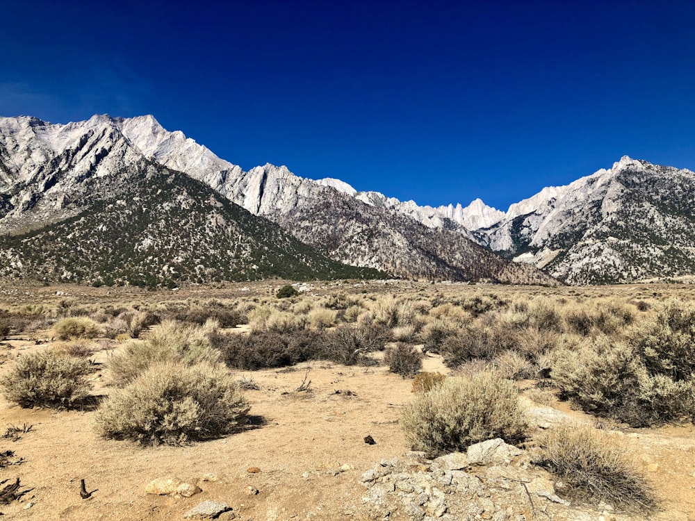 a desert landscape with mountains in the background